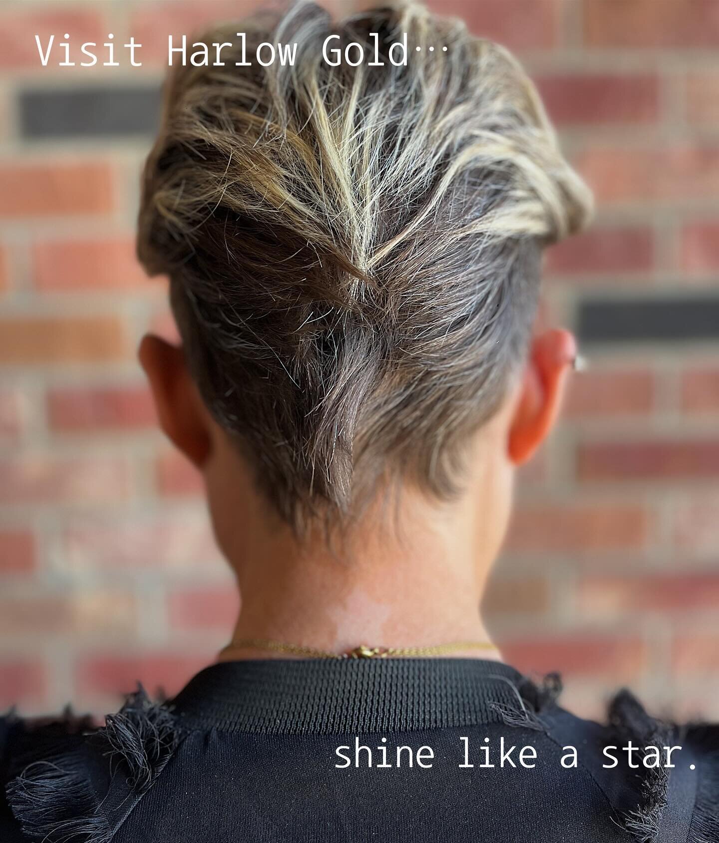 🌟 Visit Harlow Gold, shine like a star 🌟 

#hairsalon #oribeobsessed #modernsalon #fortcollins #northerncolorado