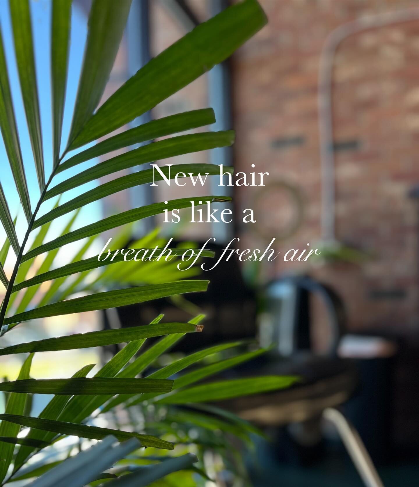 🤍🤍🤍

#hairsalon #harlowgoldsalonandspa #hairquotes #fortcollins