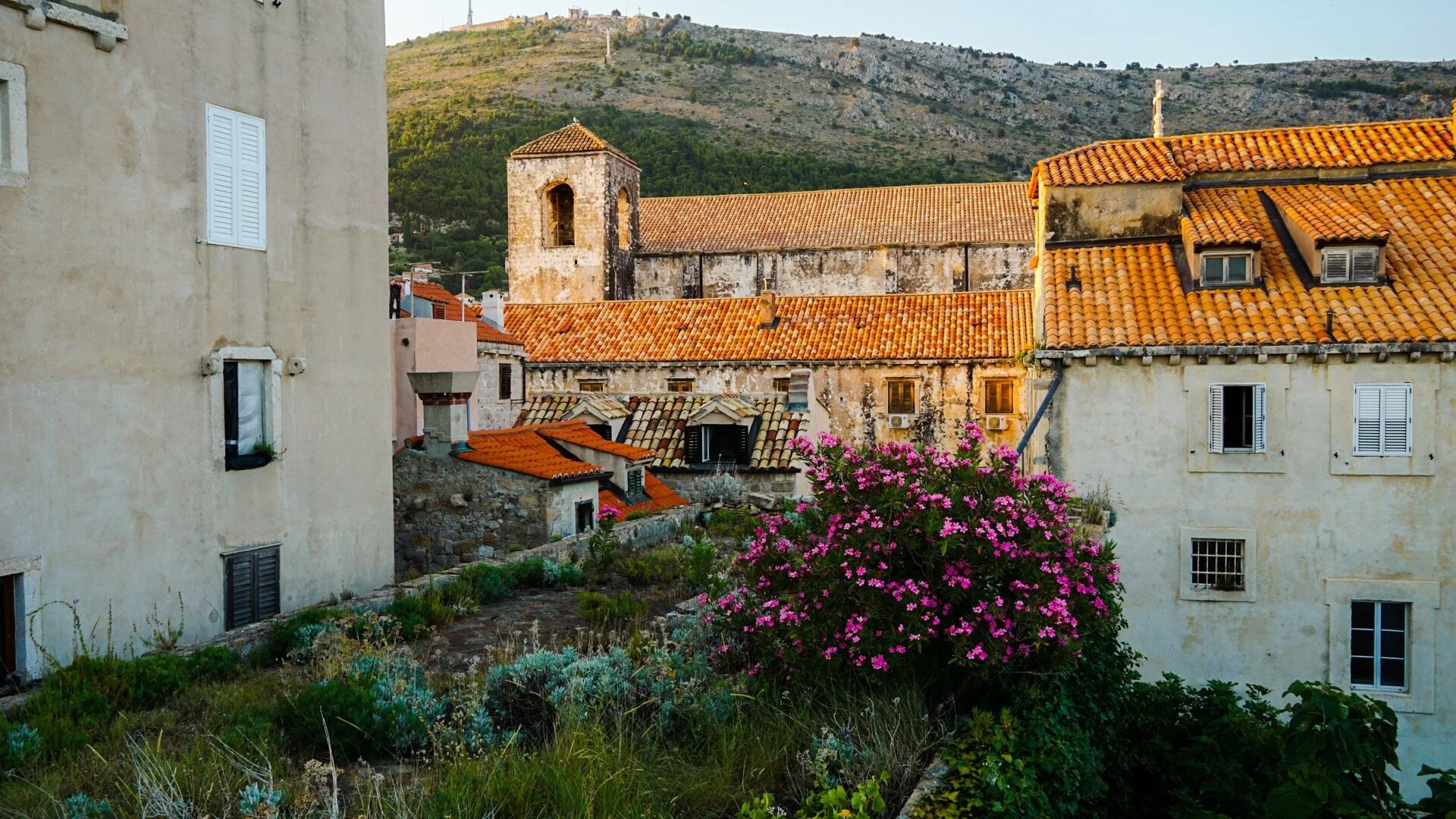 PSExpress - 3 of 11.jpeg