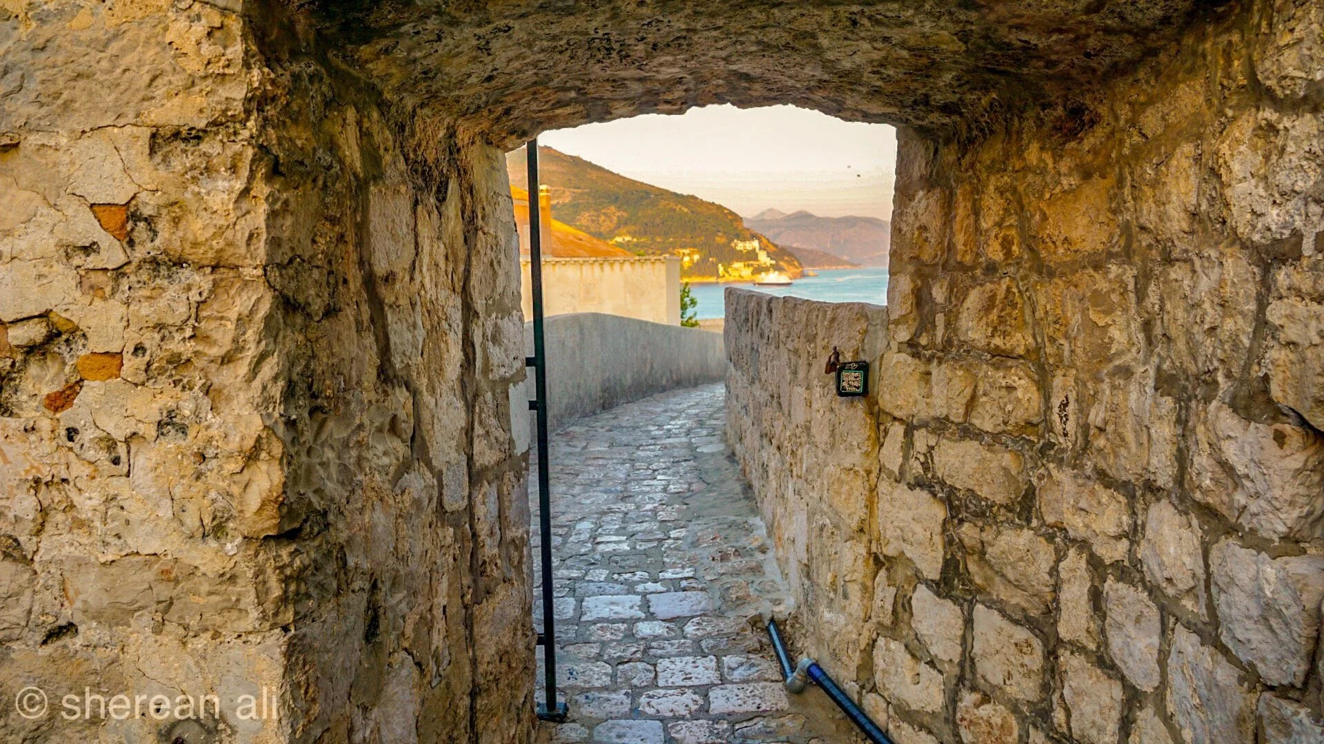 PSExpress - 6 of 11.jpeg