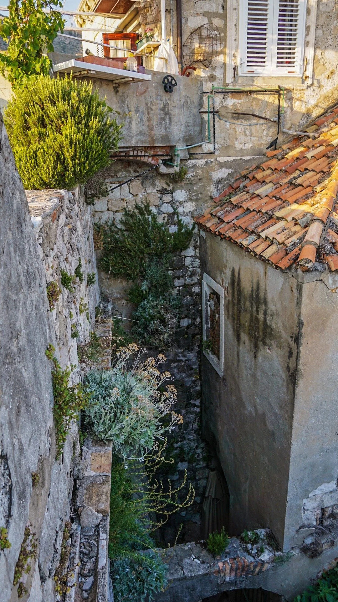 PSExpress - 9 of 11.jpeg