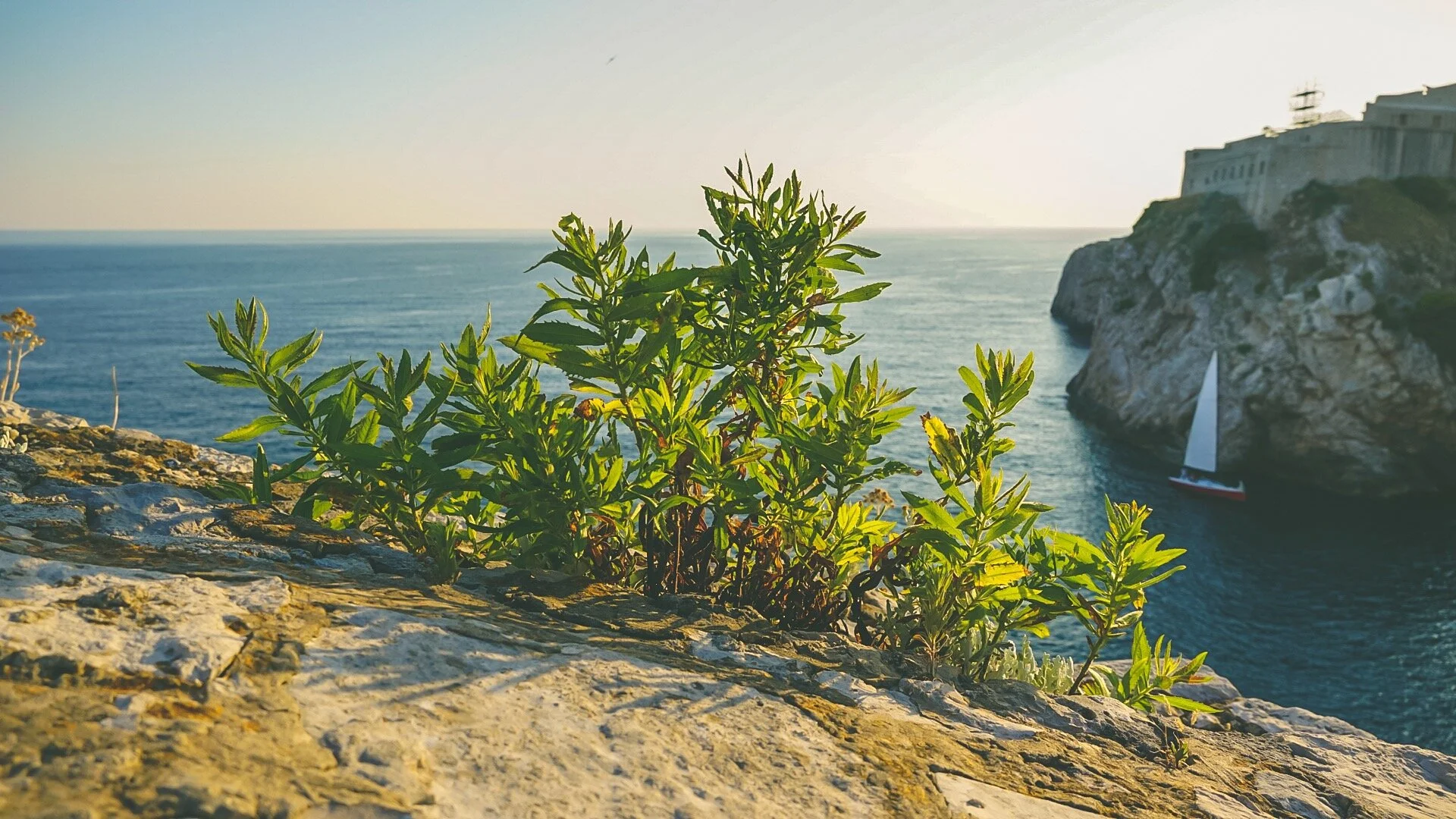 PSExpress - 10 of 11.jpeg