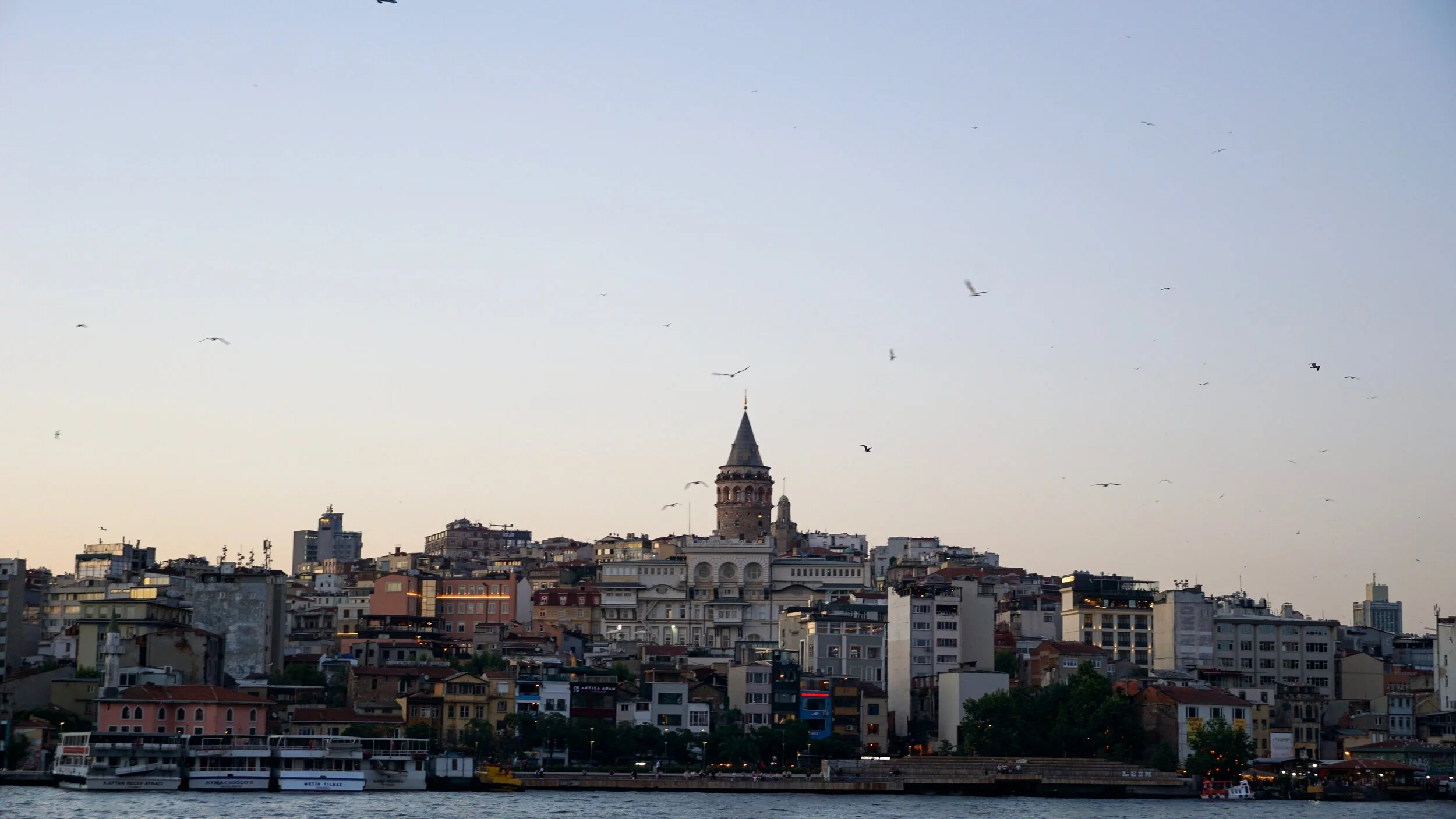 Lightroom - 3 of 15.jpeg