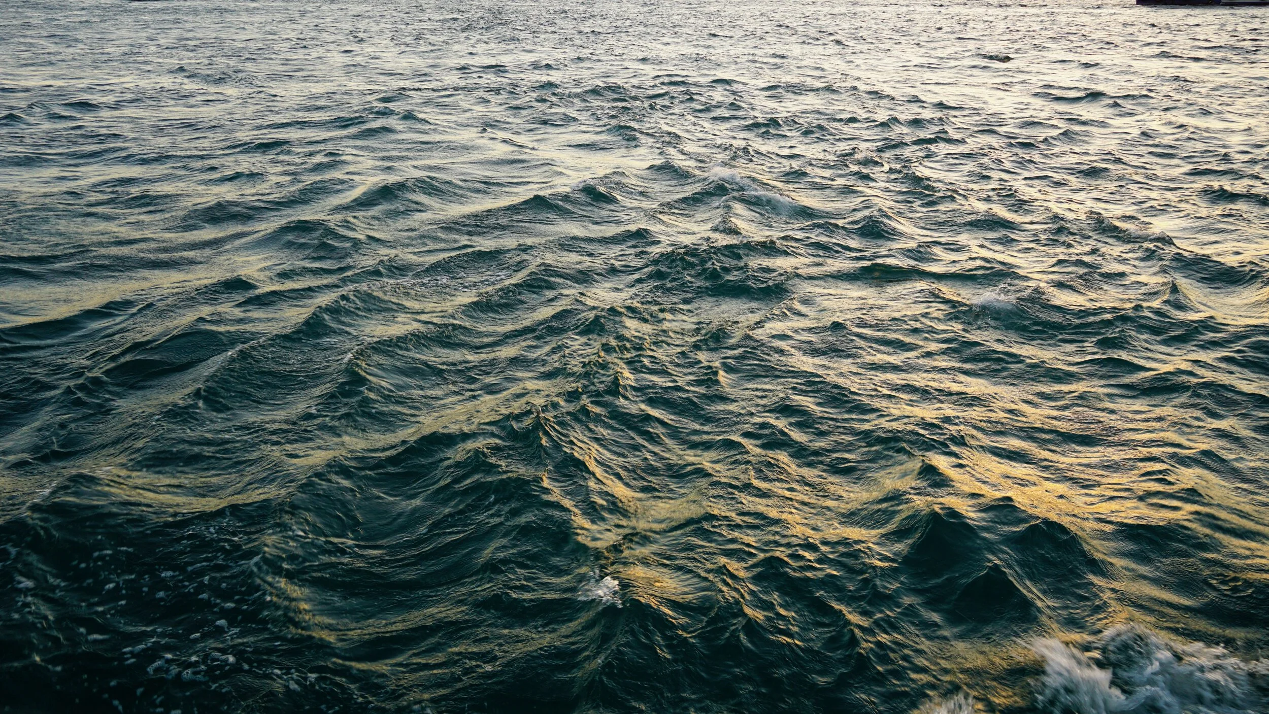 Lightroom - 4 of 15.jpeg