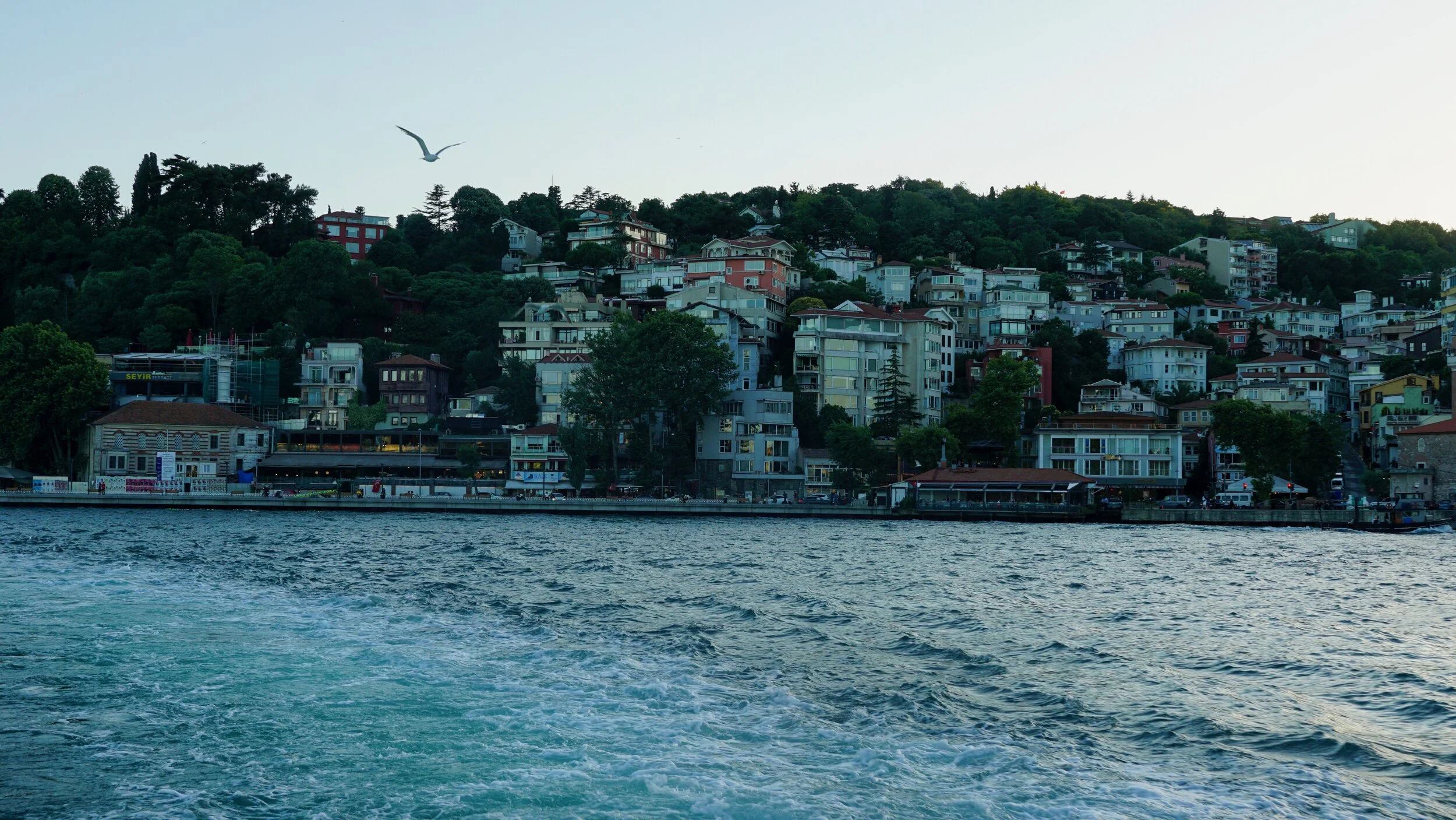 Lightroom - 11 of 15.jpeg