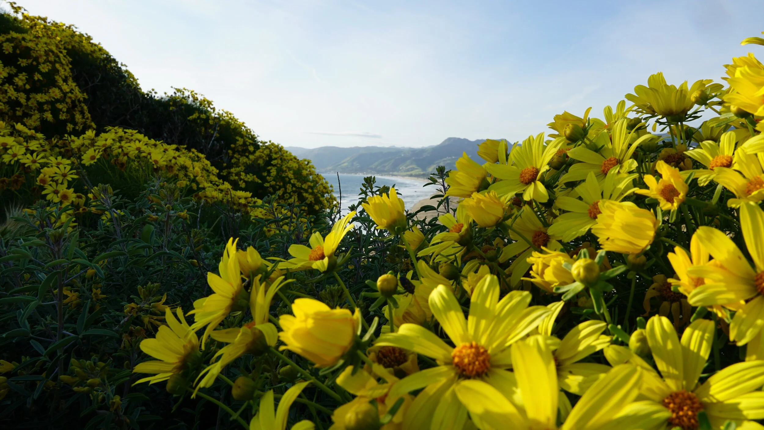 Favorites - 8 of 20.jpeg