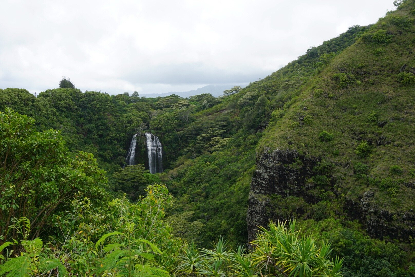 Favorites - 3 of 20.jpeg