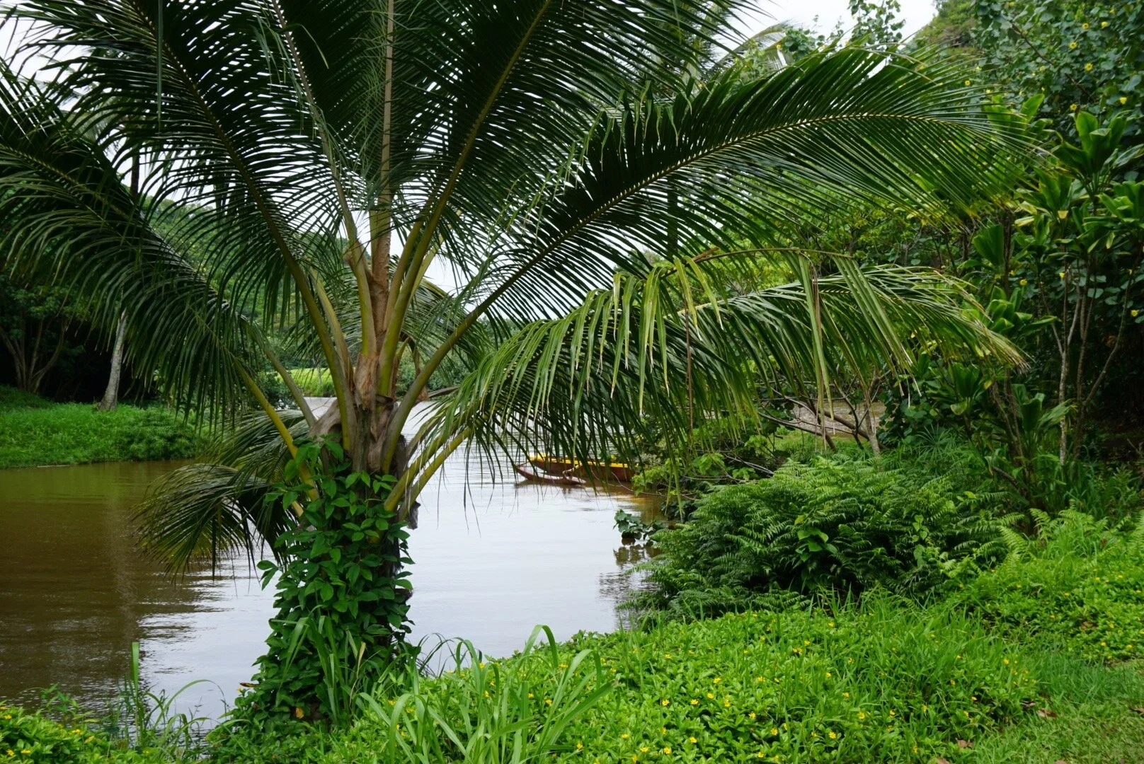 Favorites - 4 of 20.jpeg