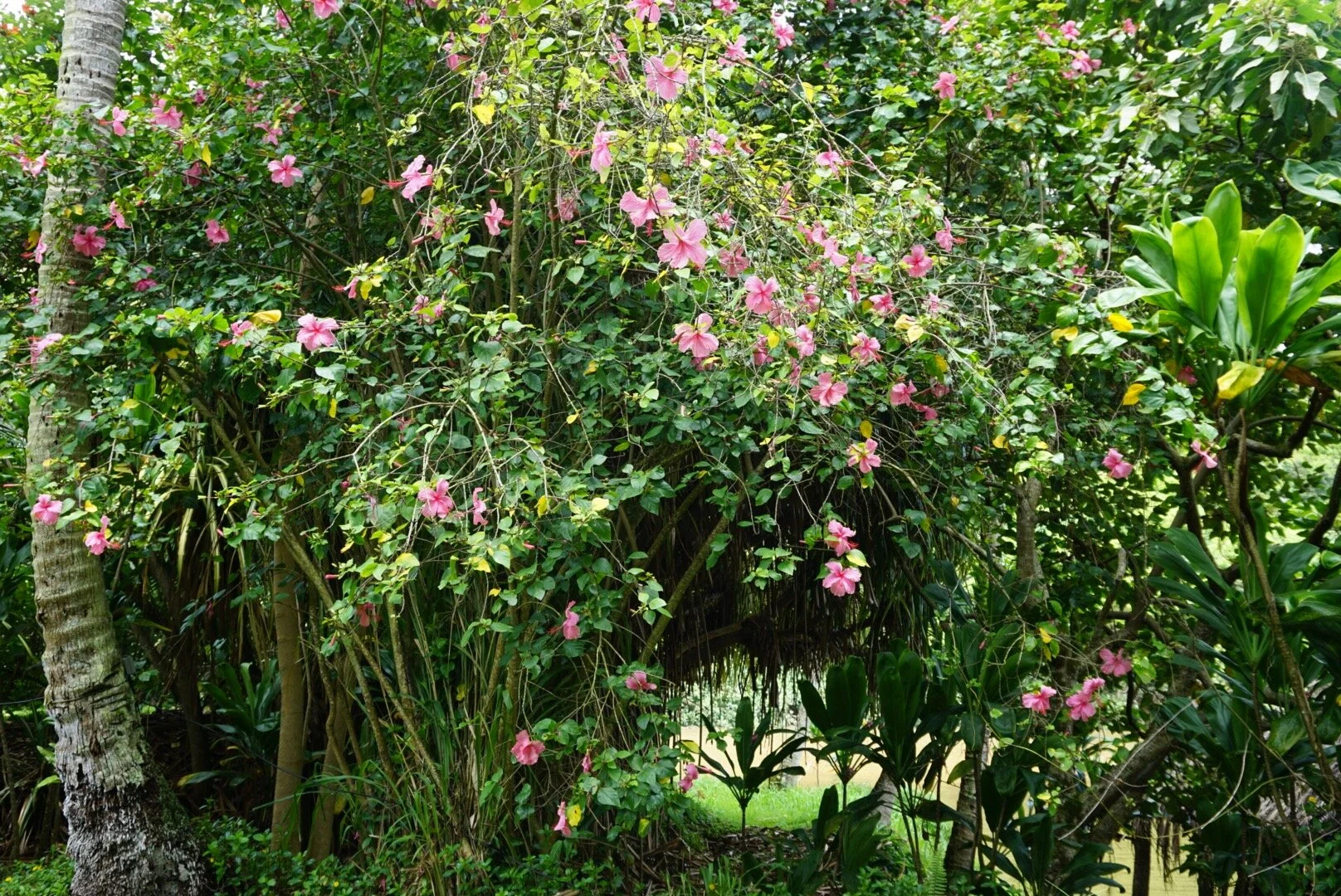 Favorites - 5 of 20.jpeg