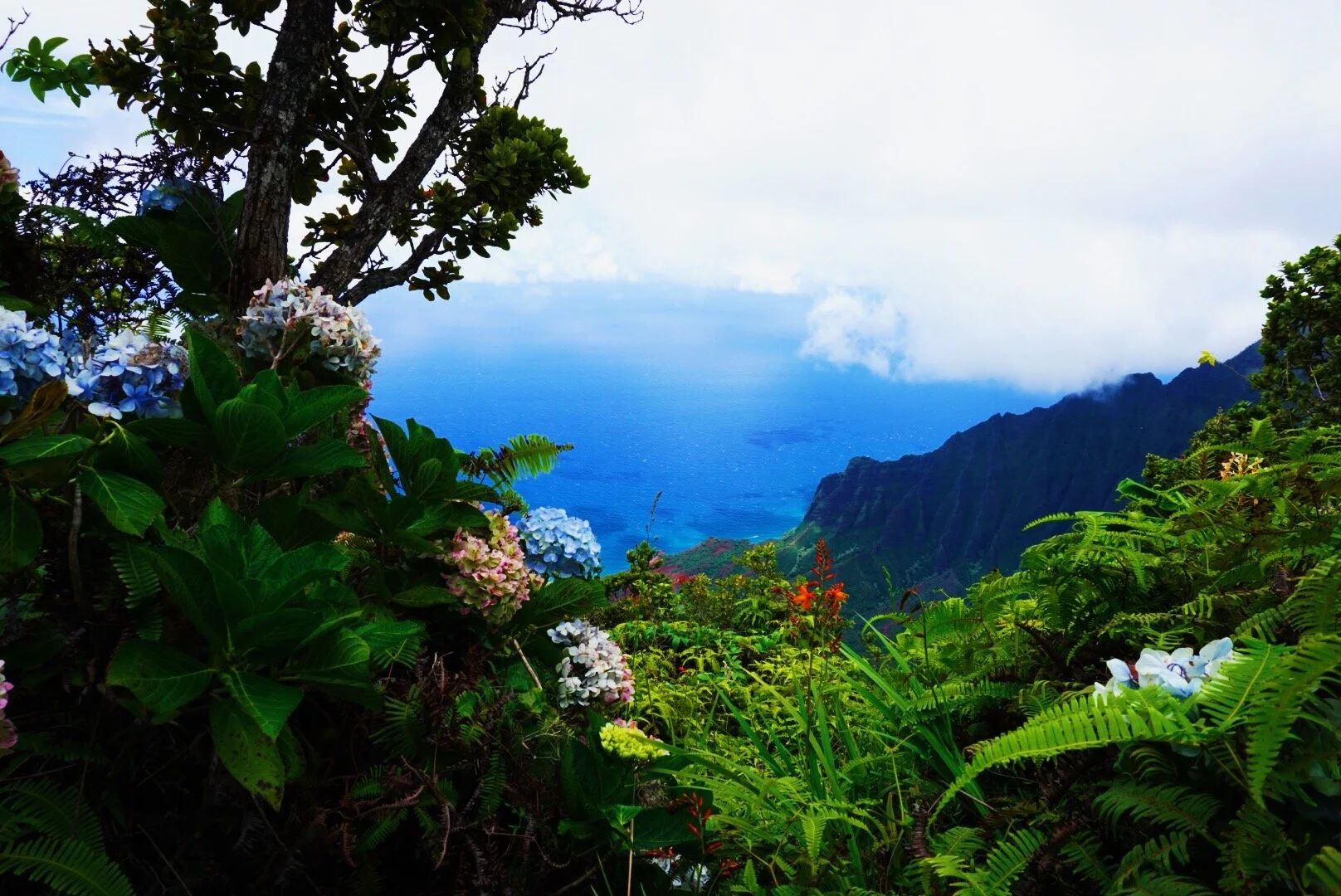 VSCO Cam - 11 of 38.jpeg