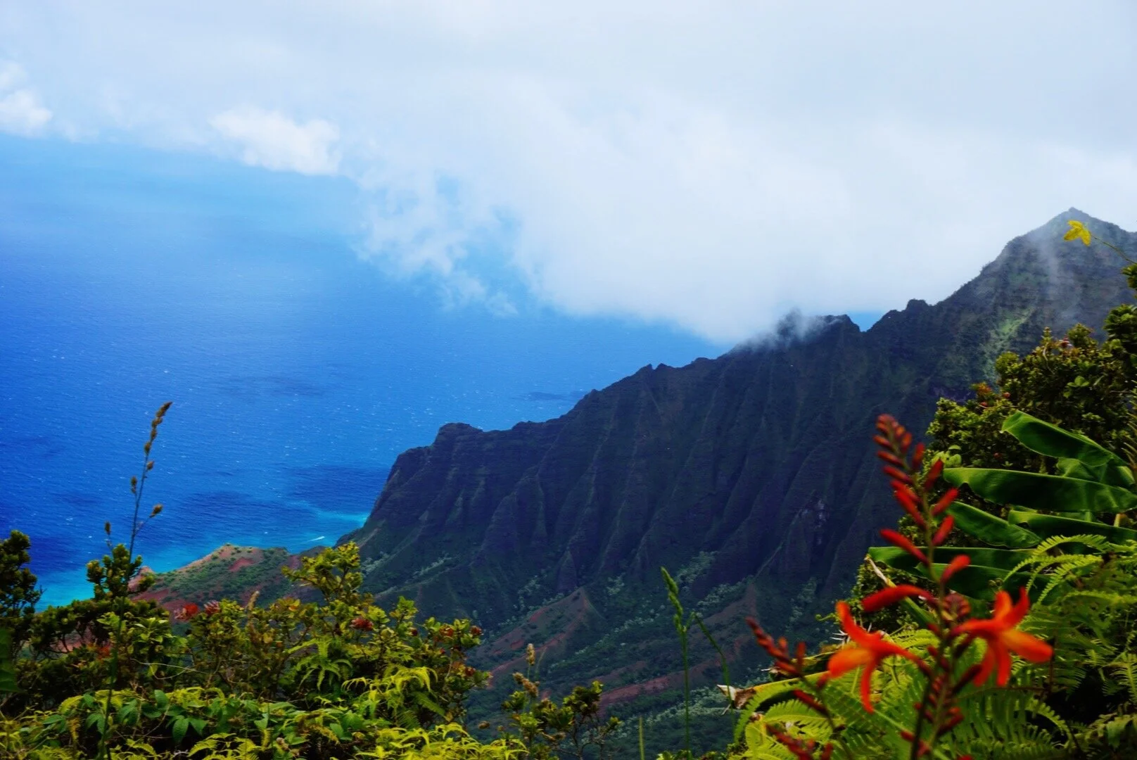 VSCO Cam - 15 of 38.jpeg