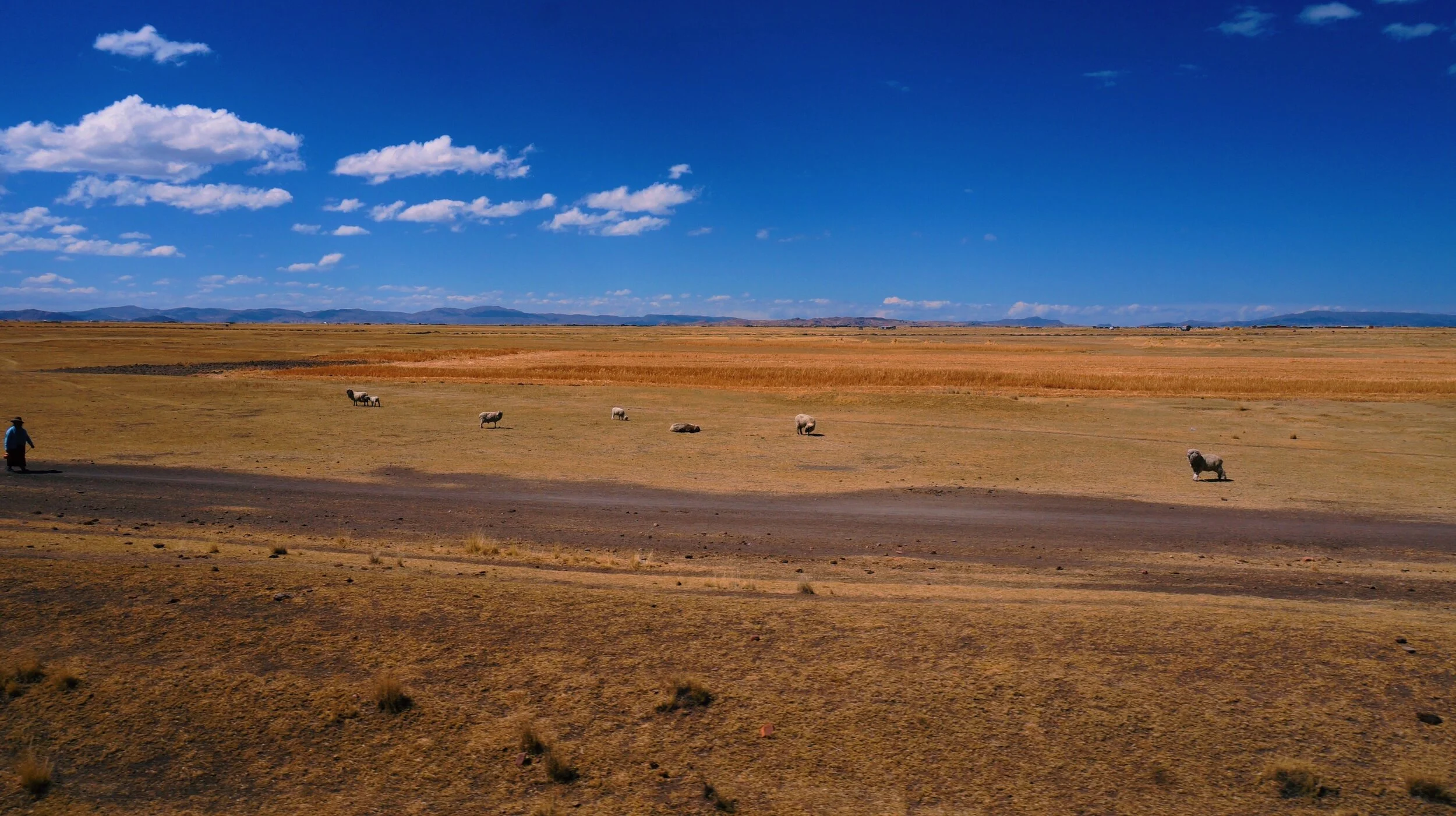 Photos - 3 of 39.jpeg