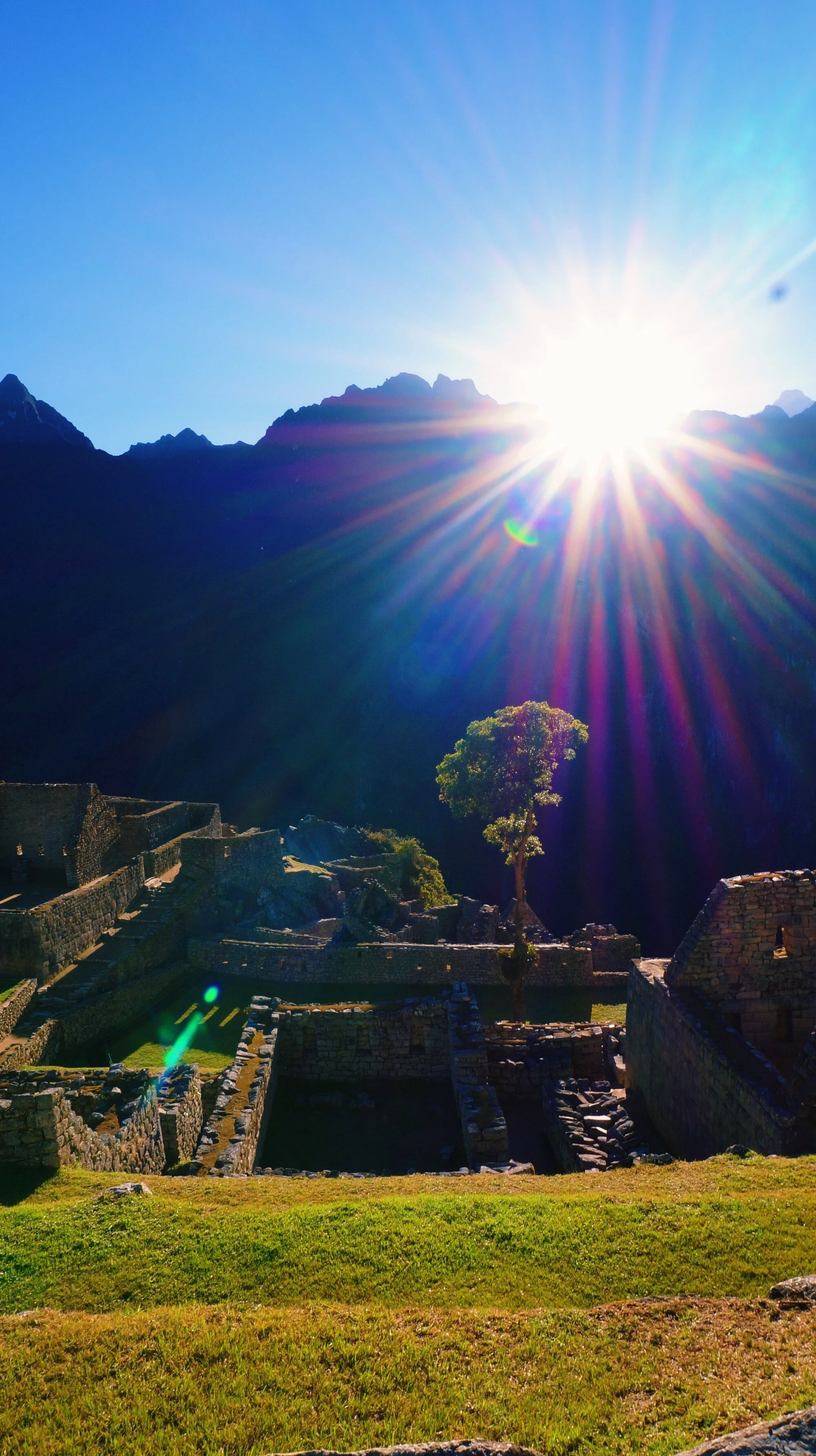 Photos - 6 of 39.jpeg