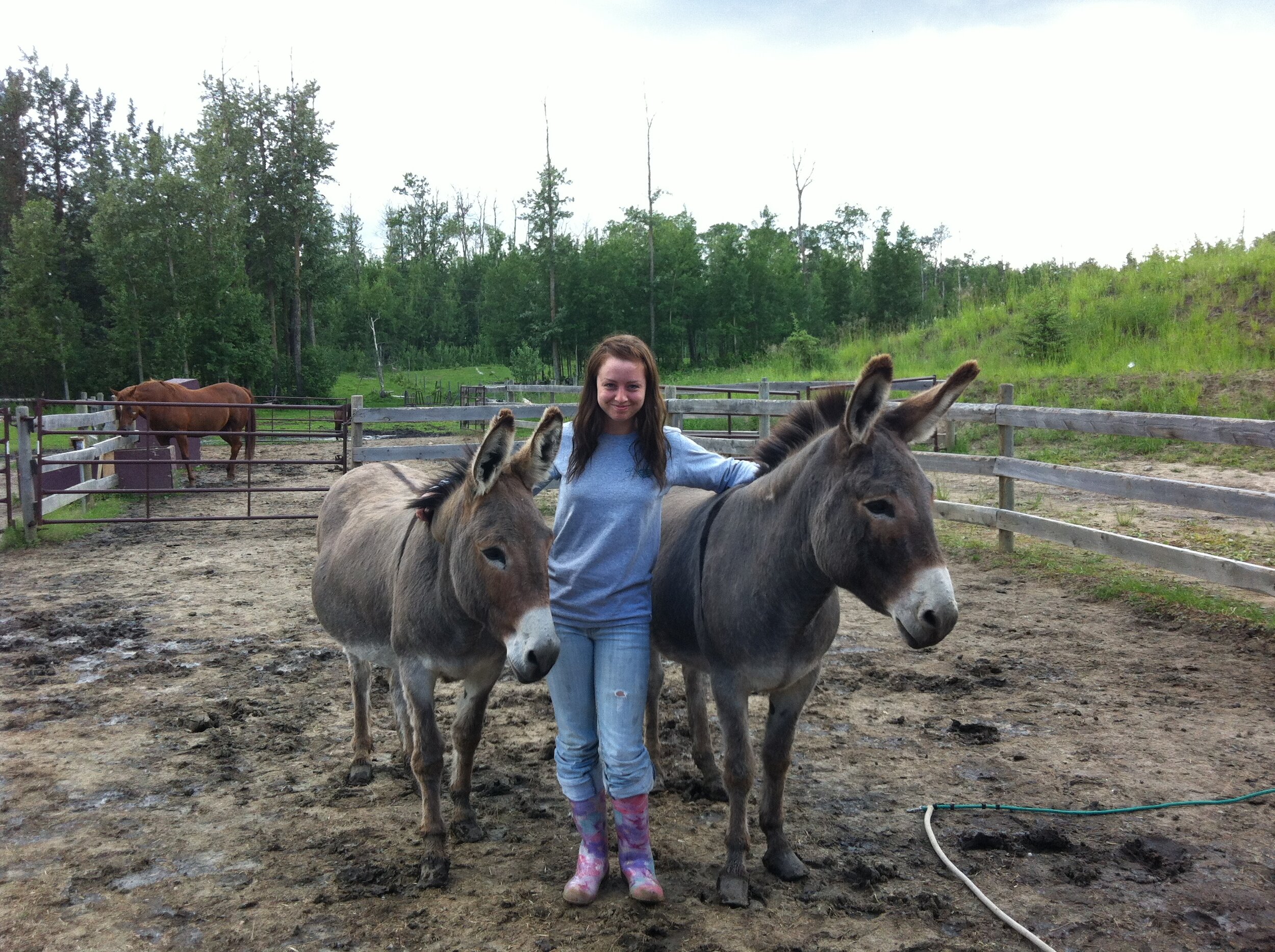 My grandpa raised donkeys too!