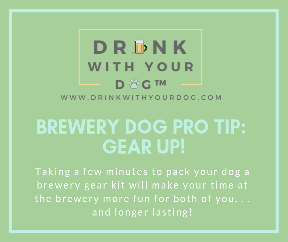 Brewery Dog Pro Tip: Gear Up! — Drink With Your Dog®