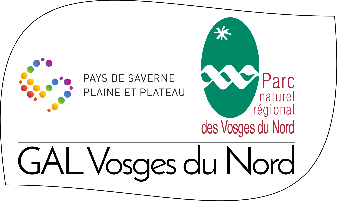Logo GAL Vosges du Nord V4.png