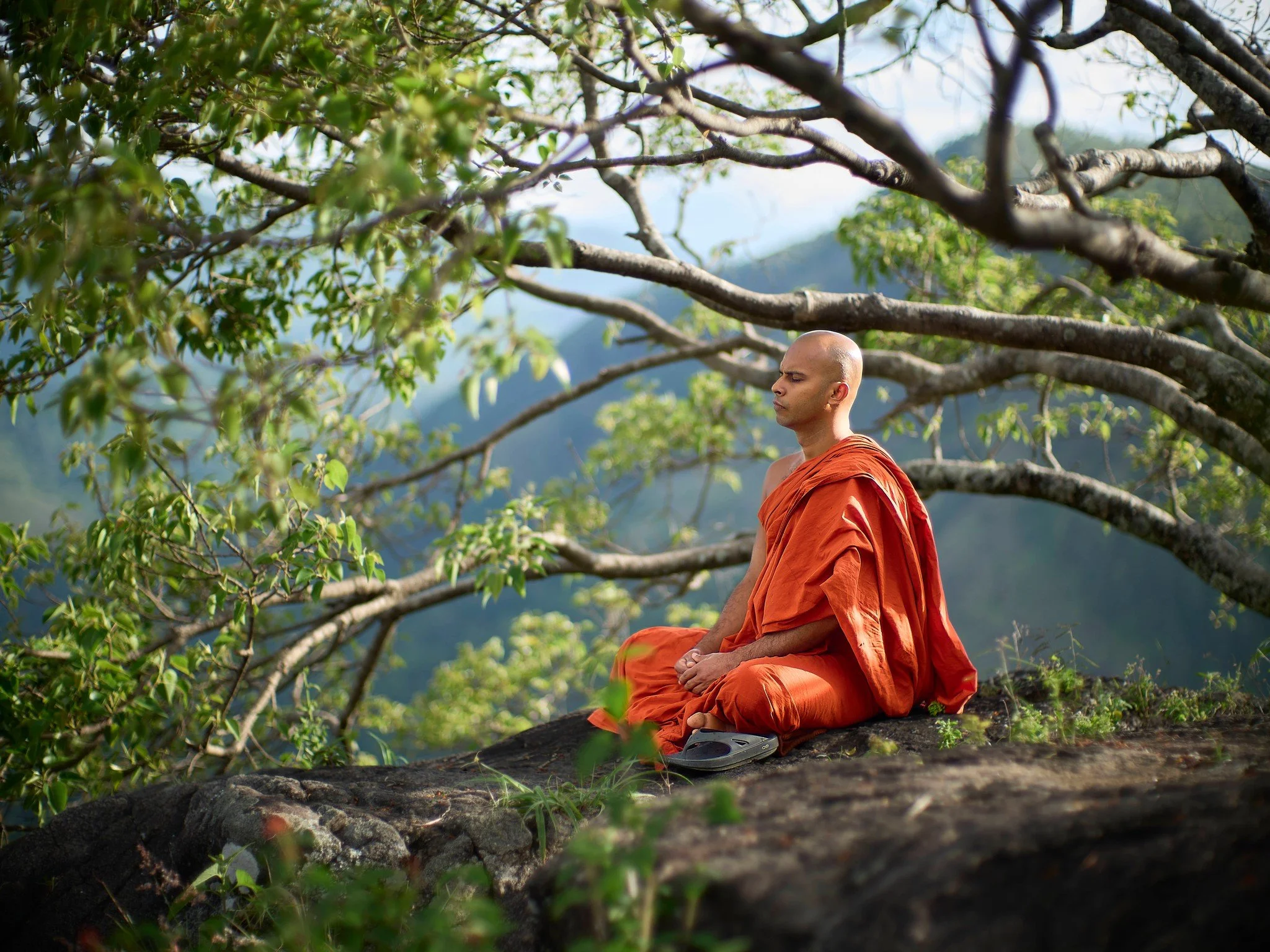 Buddhism is everywhere in Sri Lanka. The monks&rsquo; robes, with their beautiful colors, continue to fascinate me.

#Buddhism #SriLanka #MonksOfInstagram #CulturalPortrait #TravelPhotography #ColorsOfSriLanka #DocumentaryPhotography #SpiritualJourne