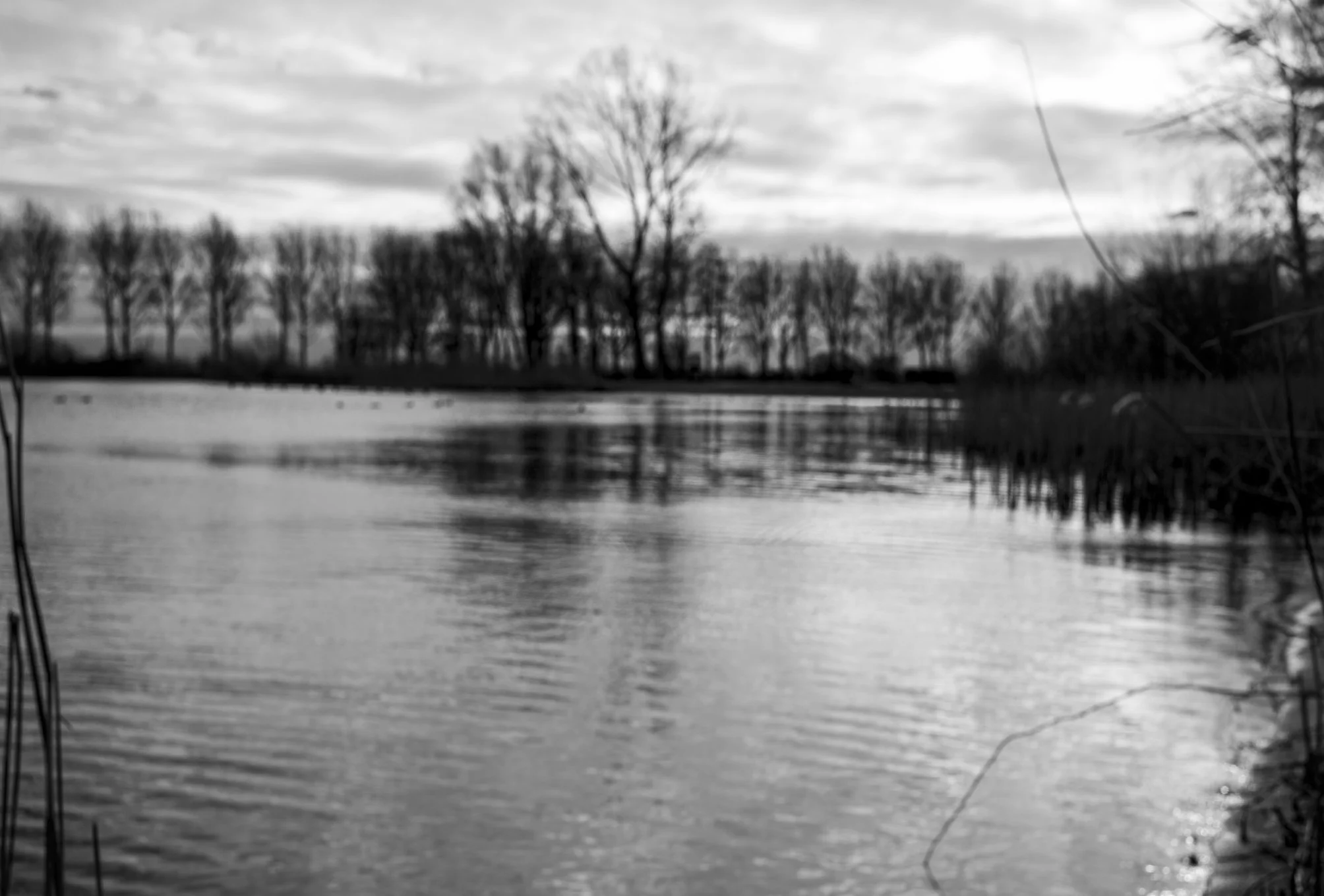 Als het lachen stopt — Uitzicht over plas