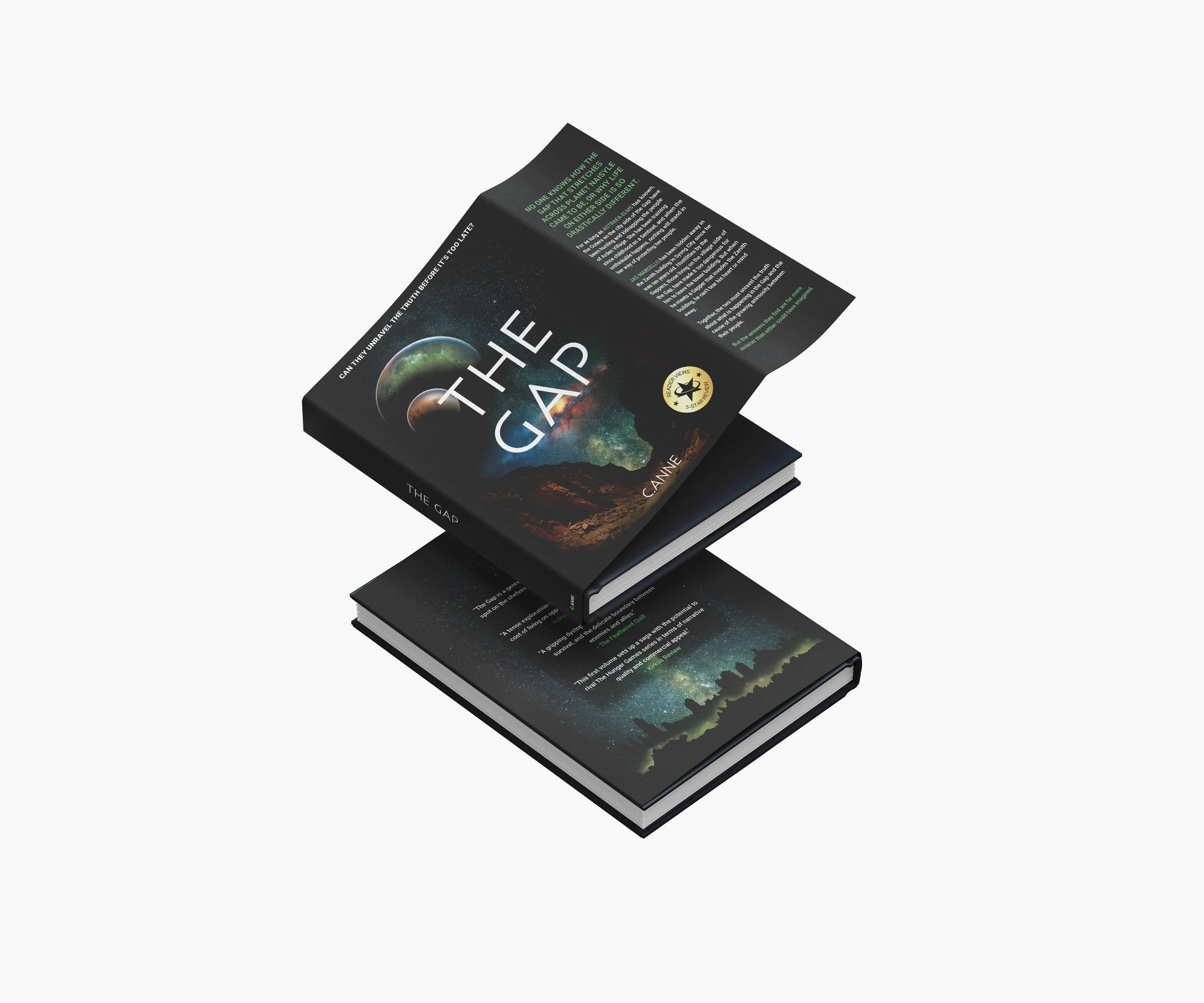 The Gap Book Jacket.jpg