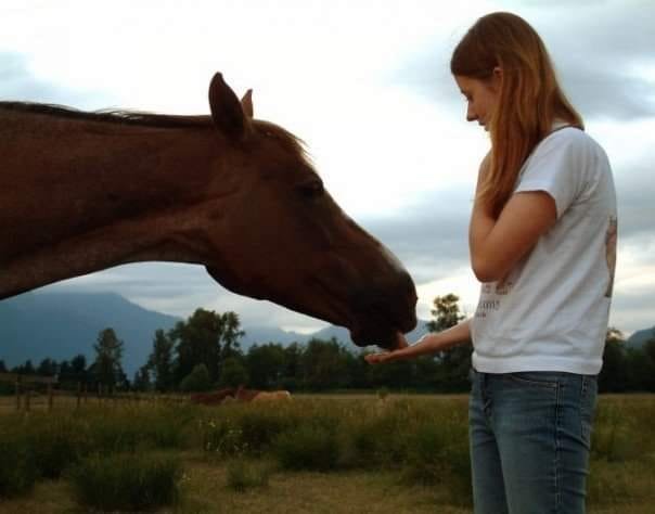 Equine services near best sale me