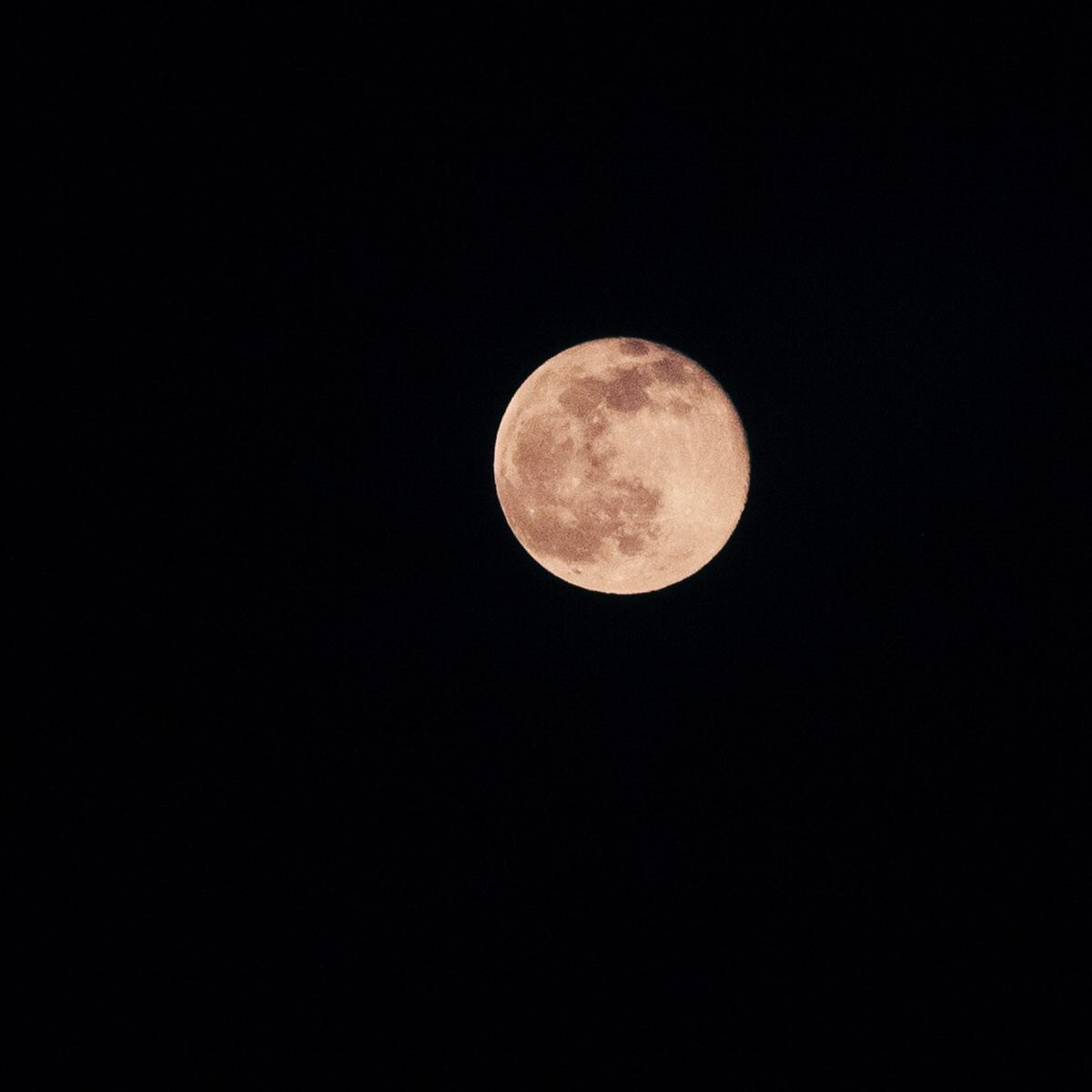 last night, first full moon 2022

#herewego2022 #reset #fullmoon #moondetails #infraredshot #ontheroadinswitzerland 
#filmphotography #patriciavonah