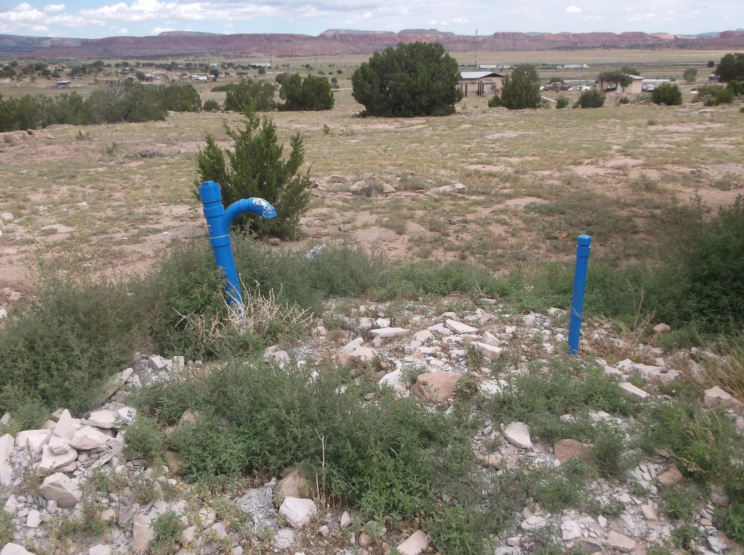 DSCF5212.JPG