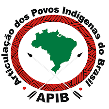 apib.png