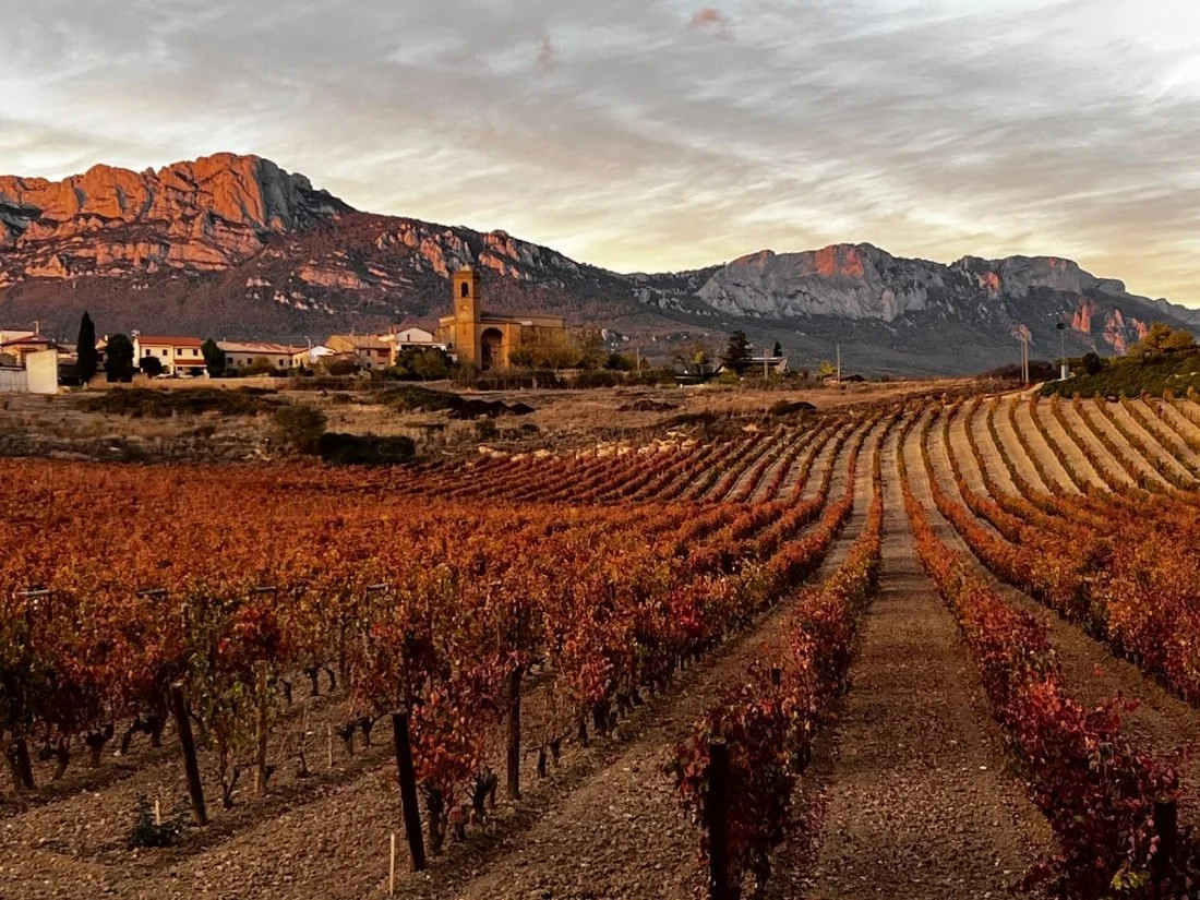 Rioja's Autumn Winescape