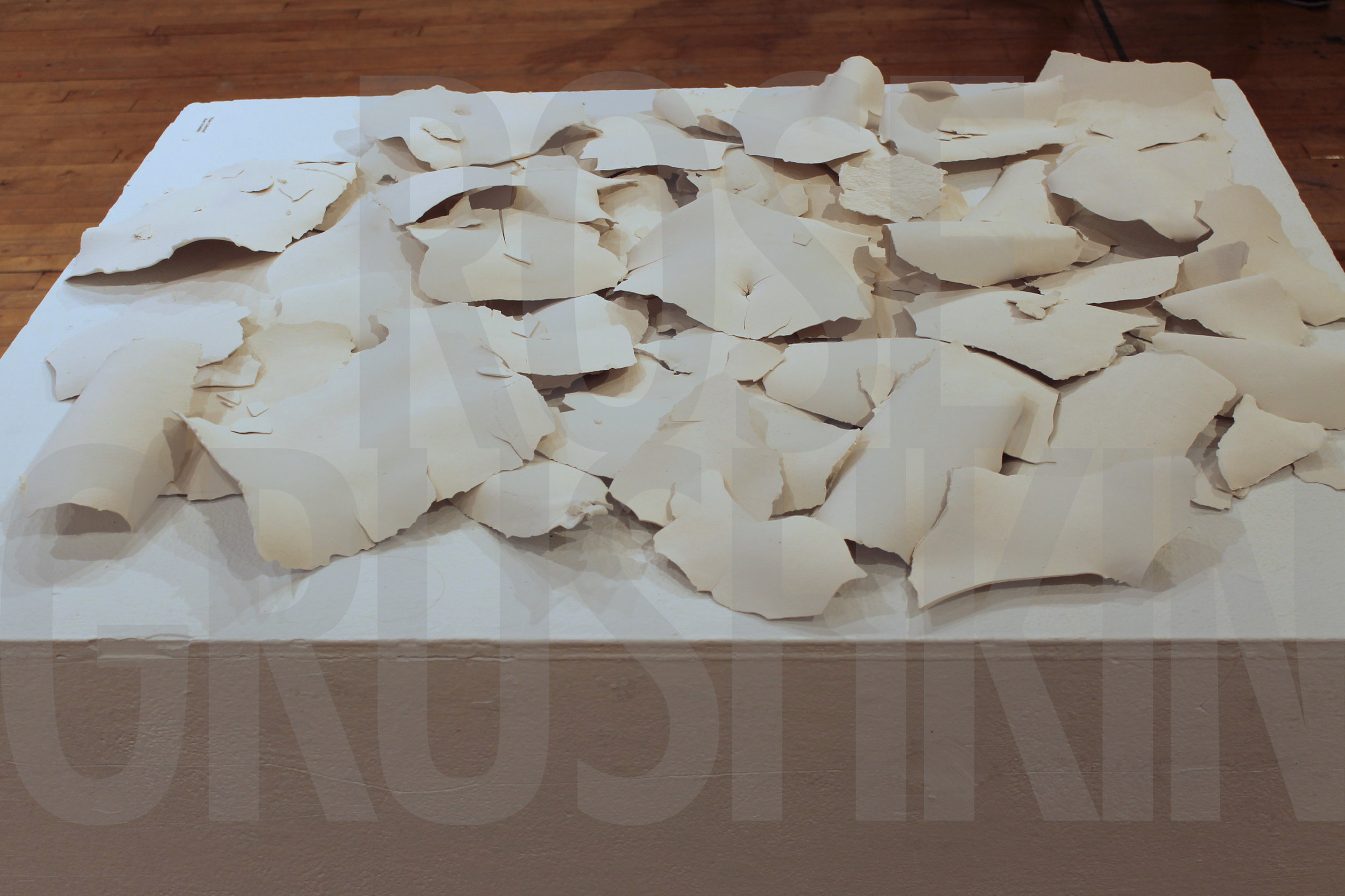 UnderGradPortfolioWork-Grushkin-13.jpg