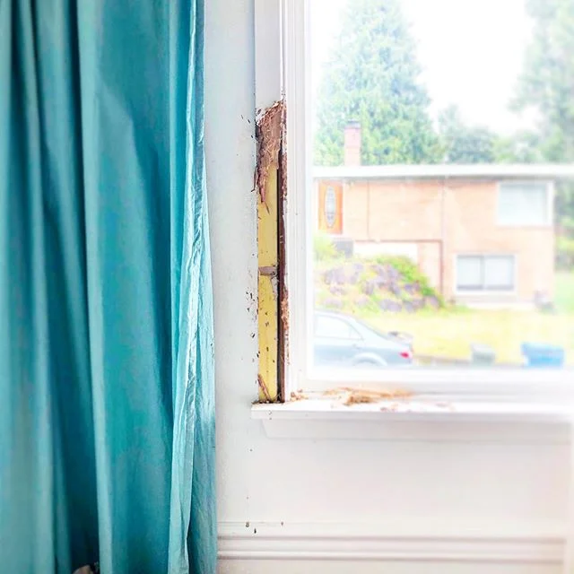 It&rsquo;s July 10th. If we could stop shooting off fireworks now, that would be FUCKING great. My dog can&rsquo;t handle this. Thanks. ✌️