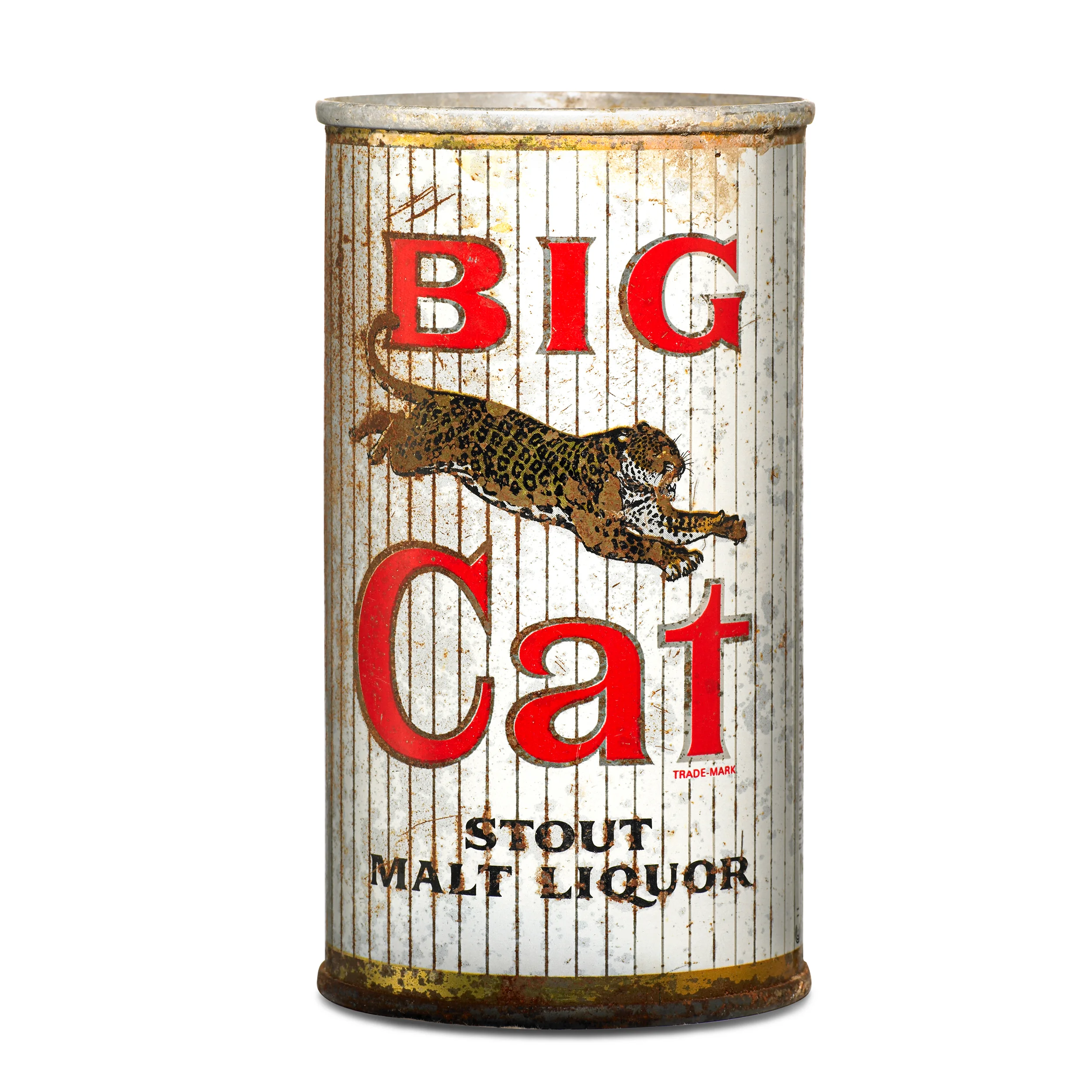 10-0306-Big-Cat-01-01.jpg