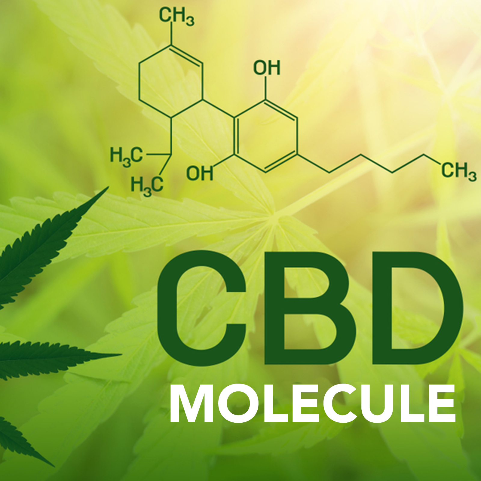 visualizes what is cbd molecule