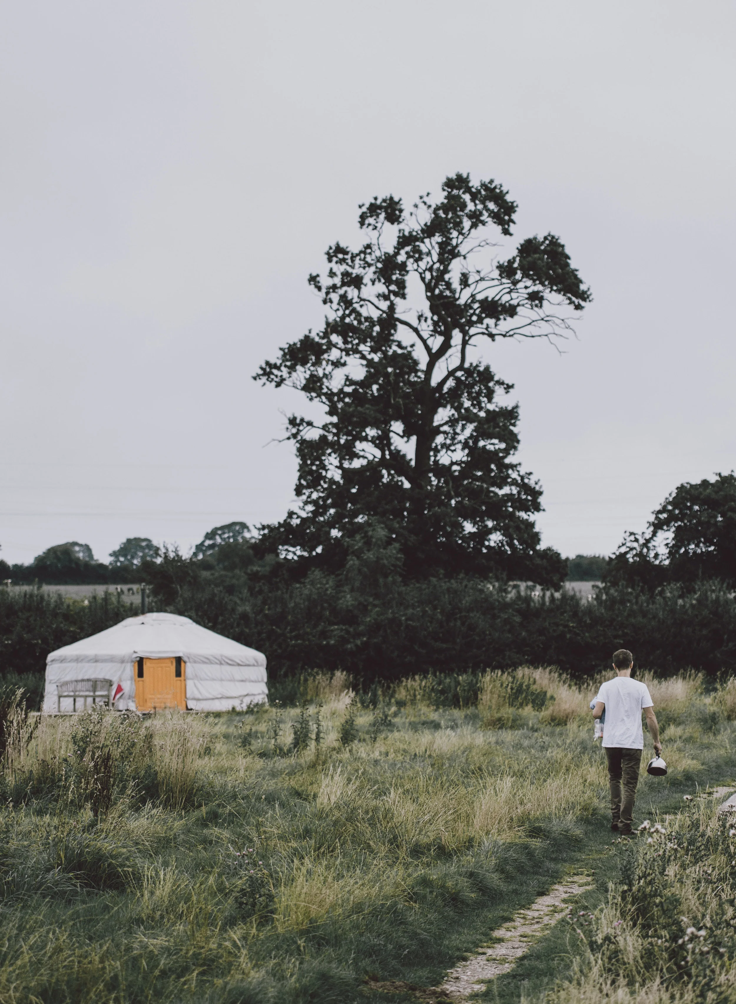 Image: Annie Spratt