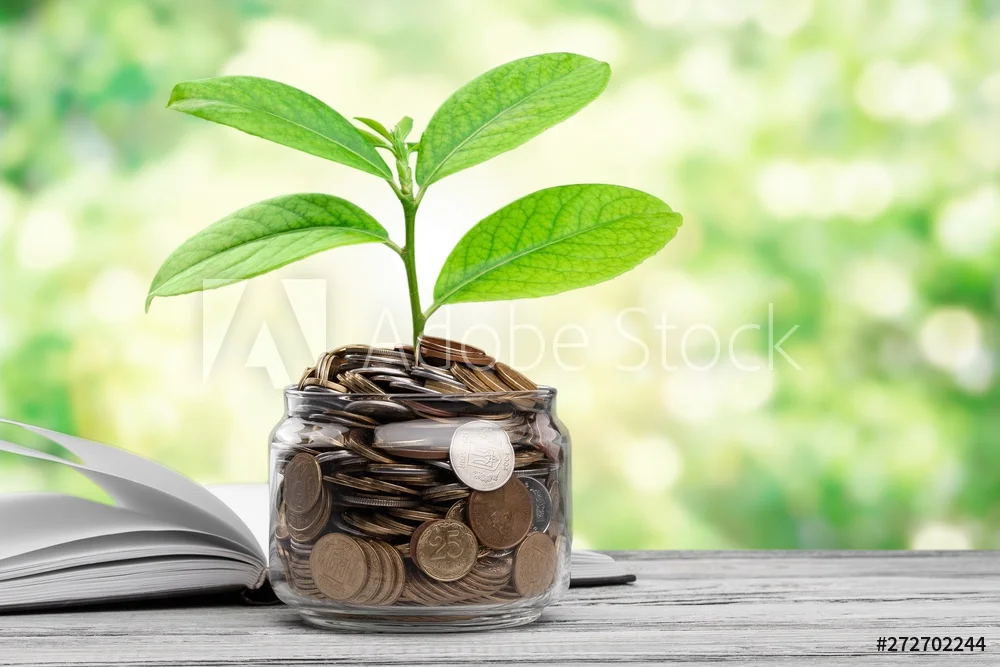 AdobeStock_272702244_Preview.jpeg