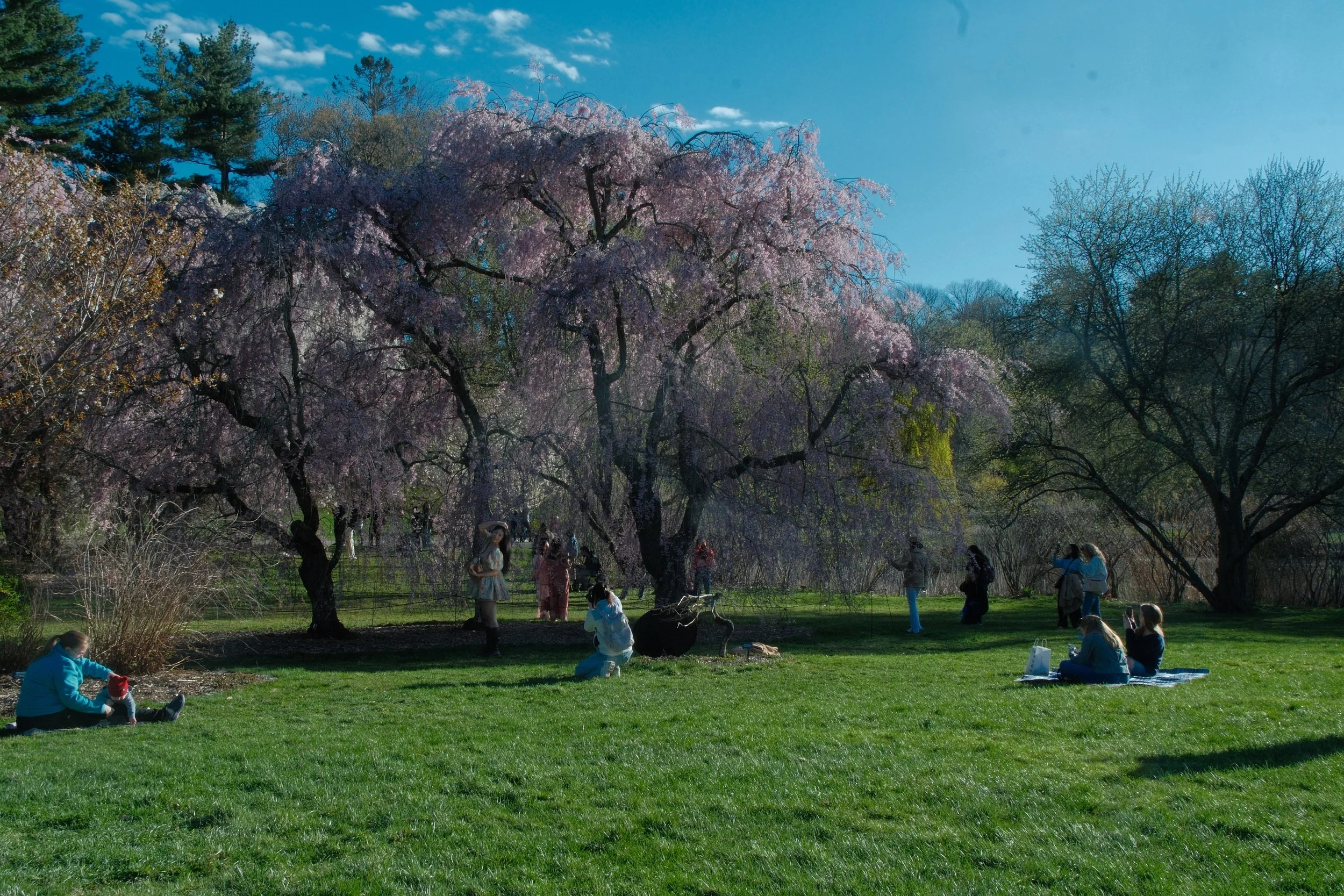 DSCF3897.JPG