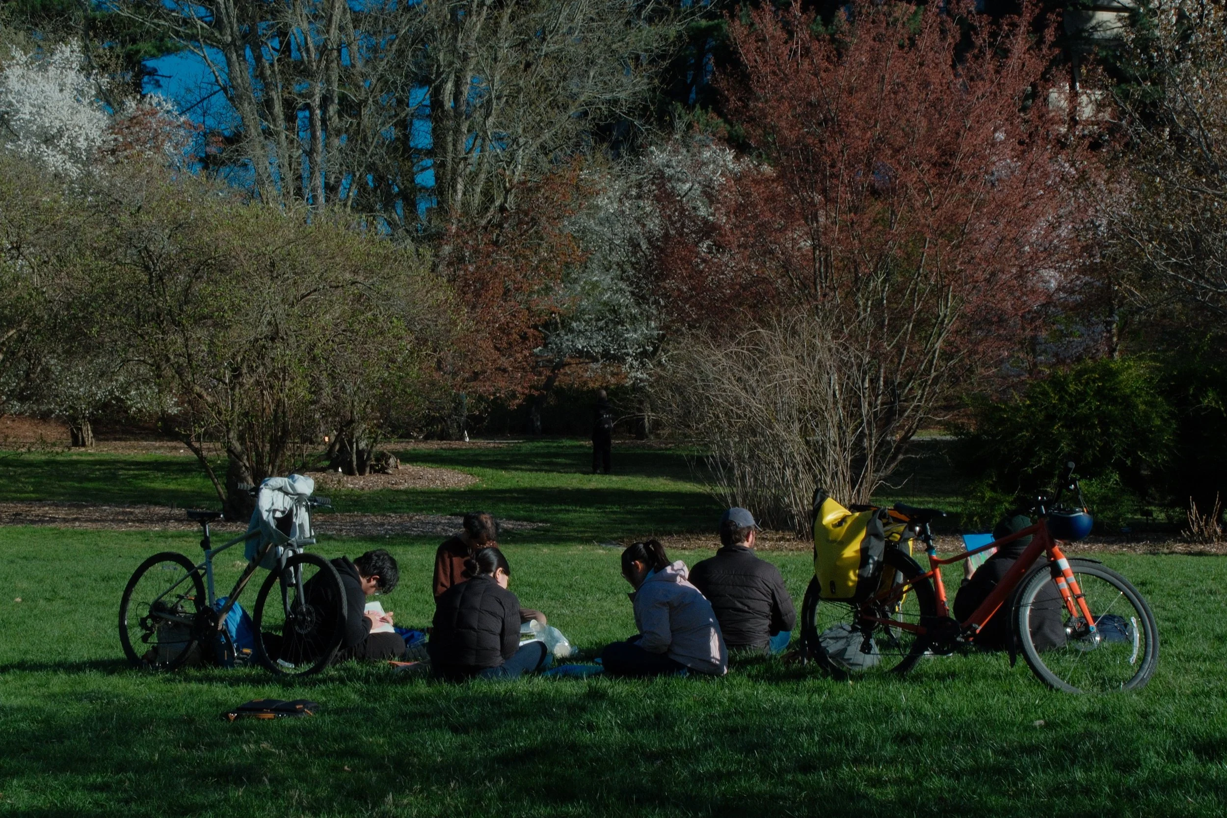 DSCF3909.JPG