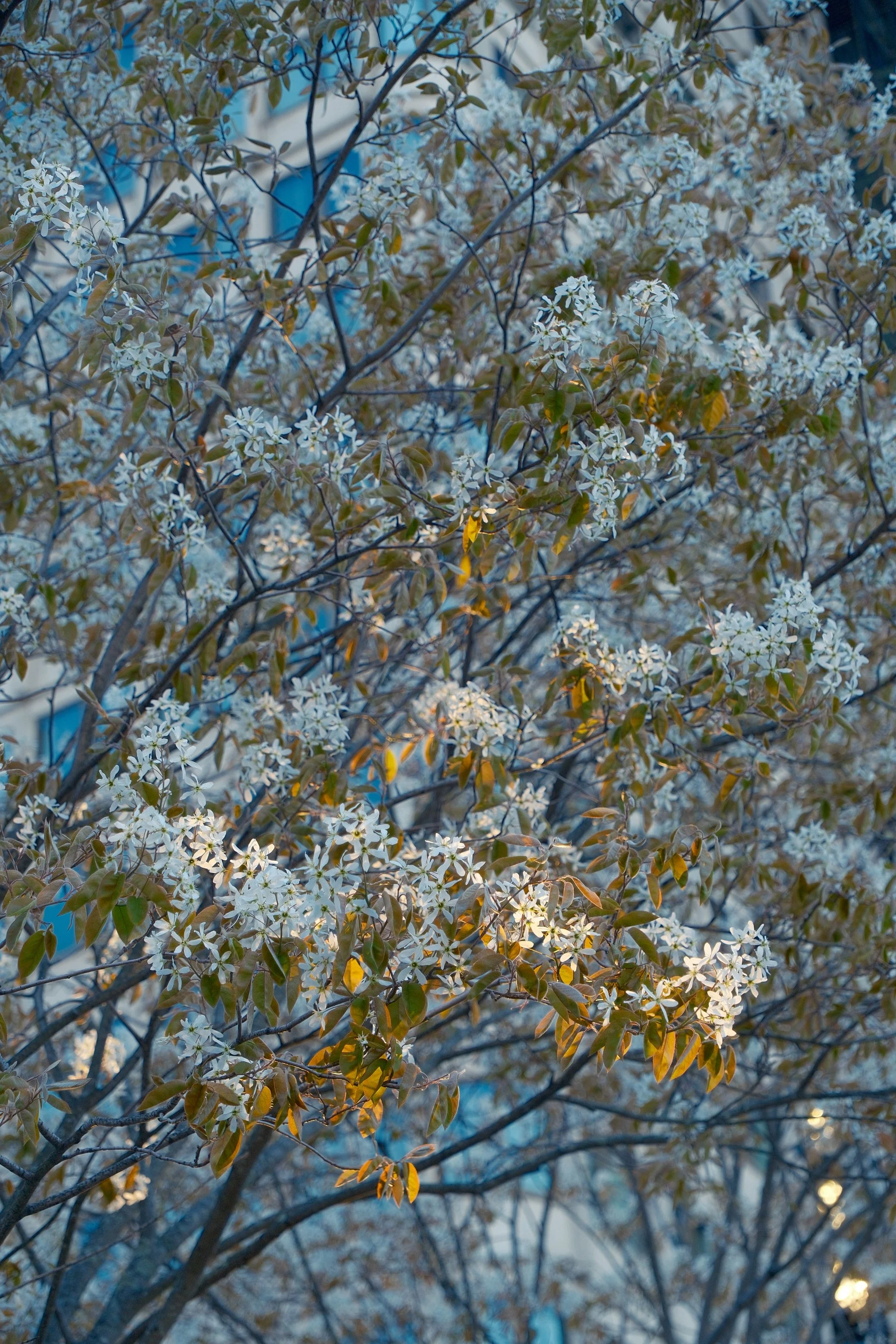 DSCF3926.JPG