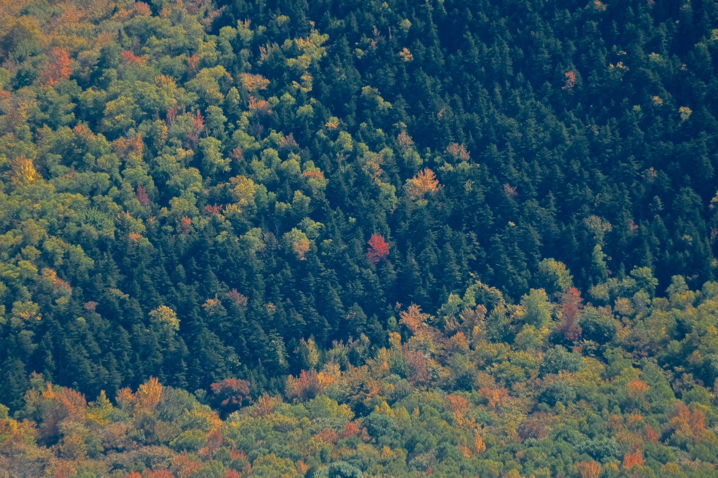 DSCF0389.jpg