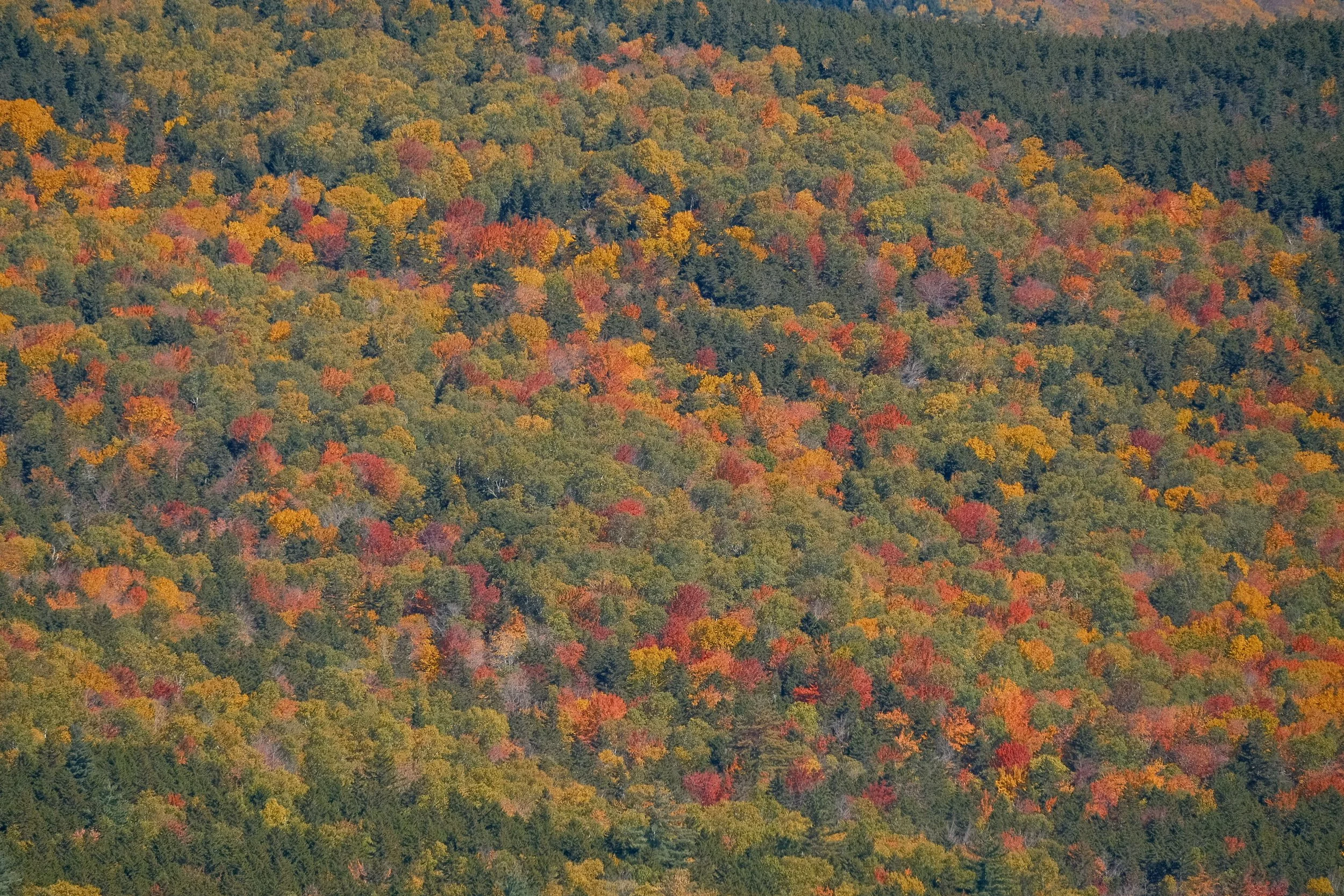 DSCF0394.jpg