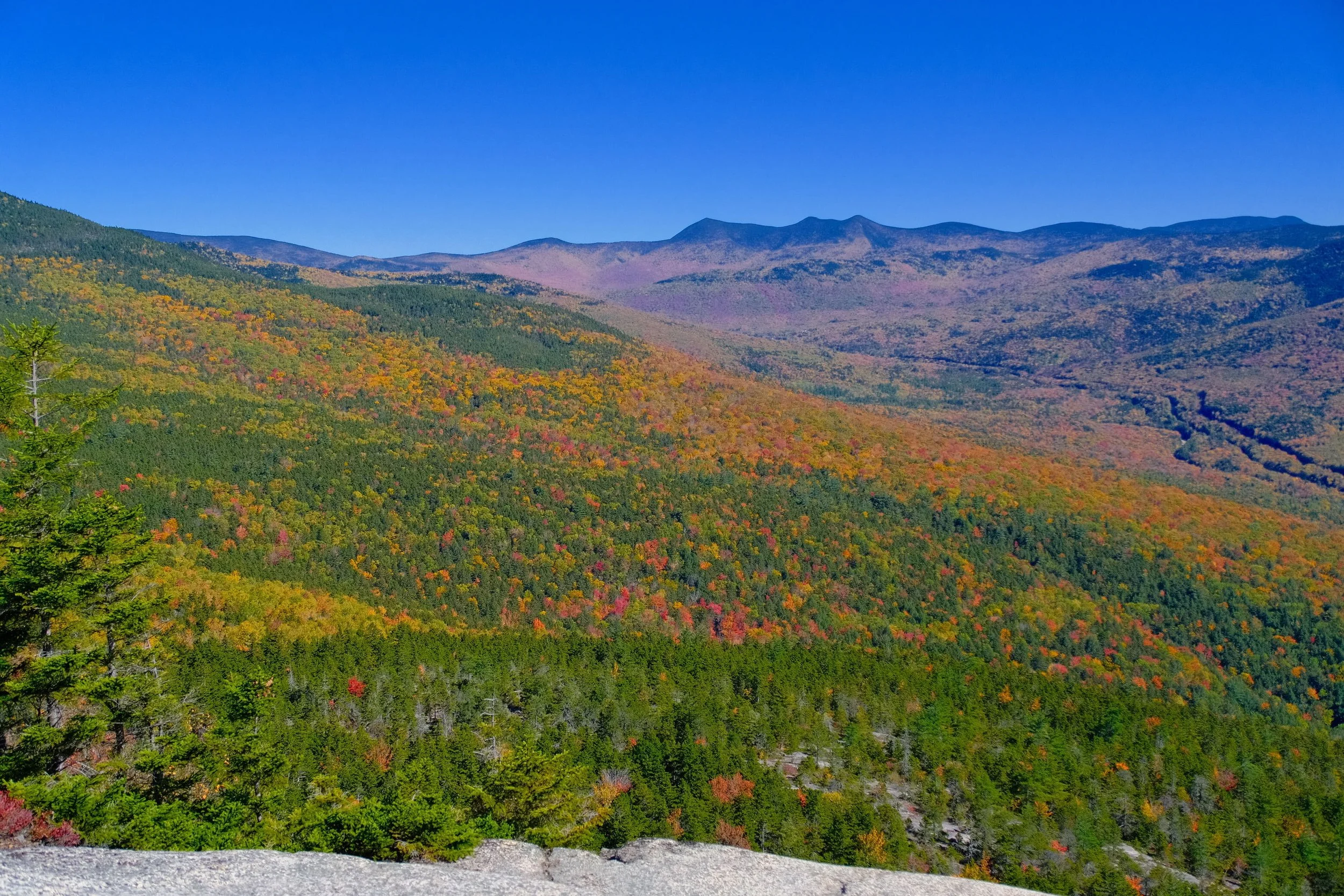 DSCF0395.jpg