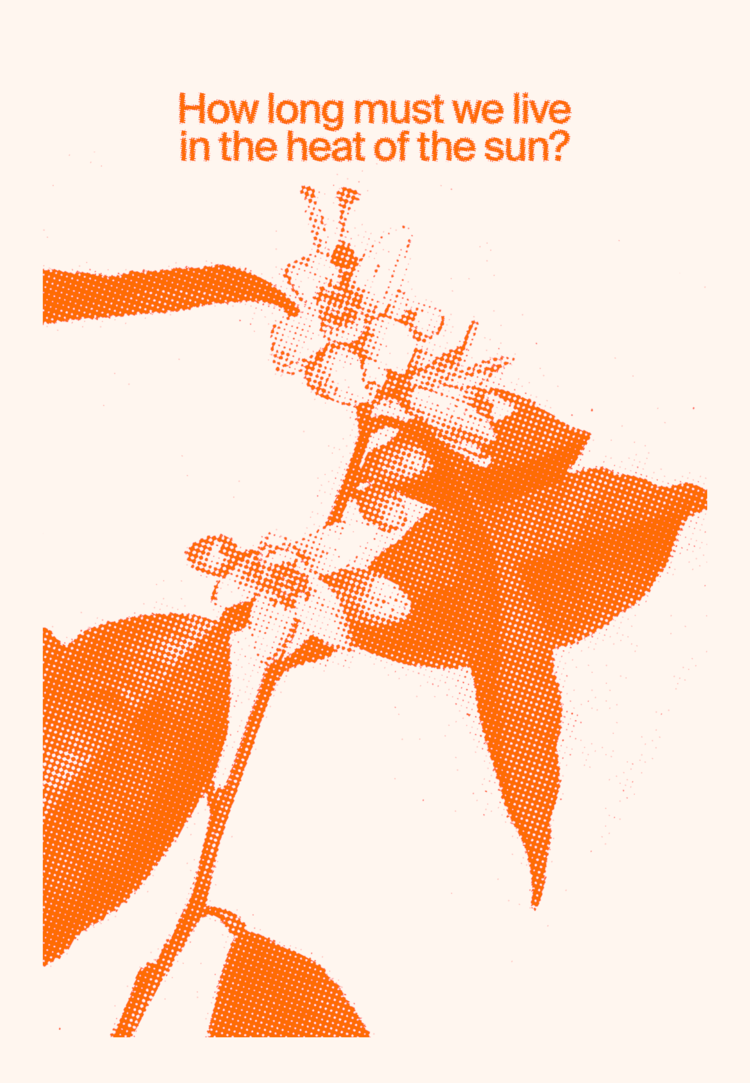 flpost2+copy+2.png