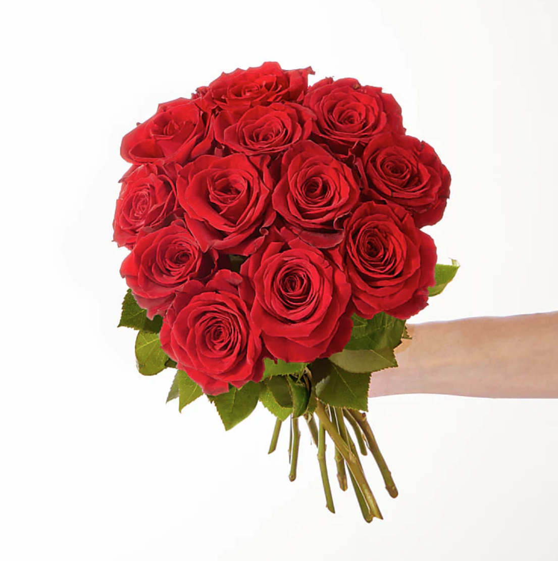 Red Rose Pop-Up Special