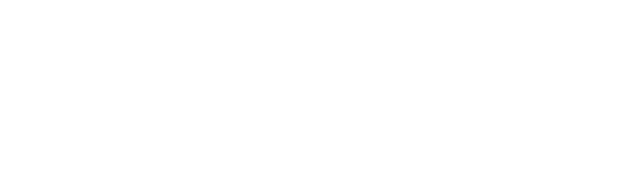 StrategyCap LLC