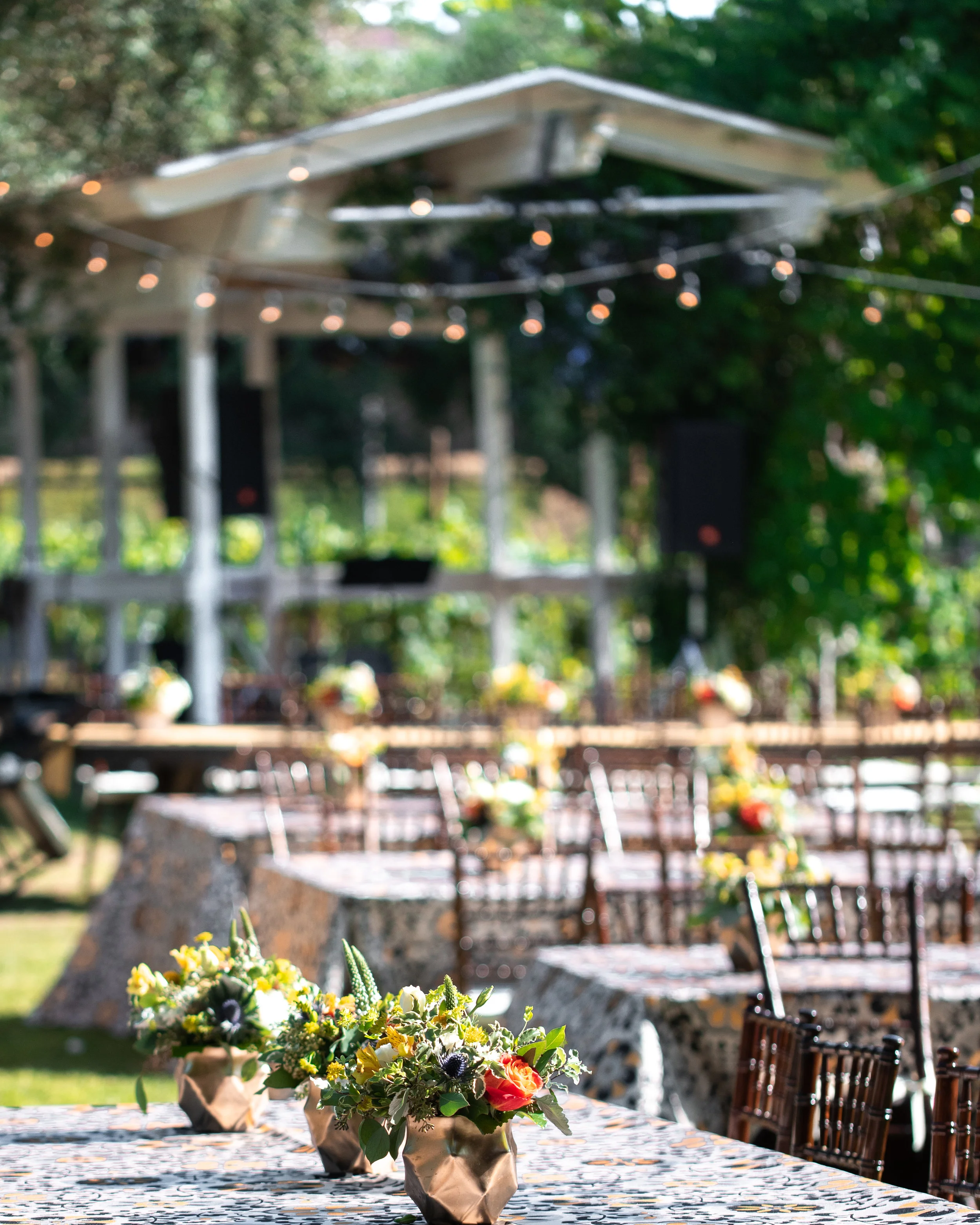 Offerings — The Wild Thyme Company