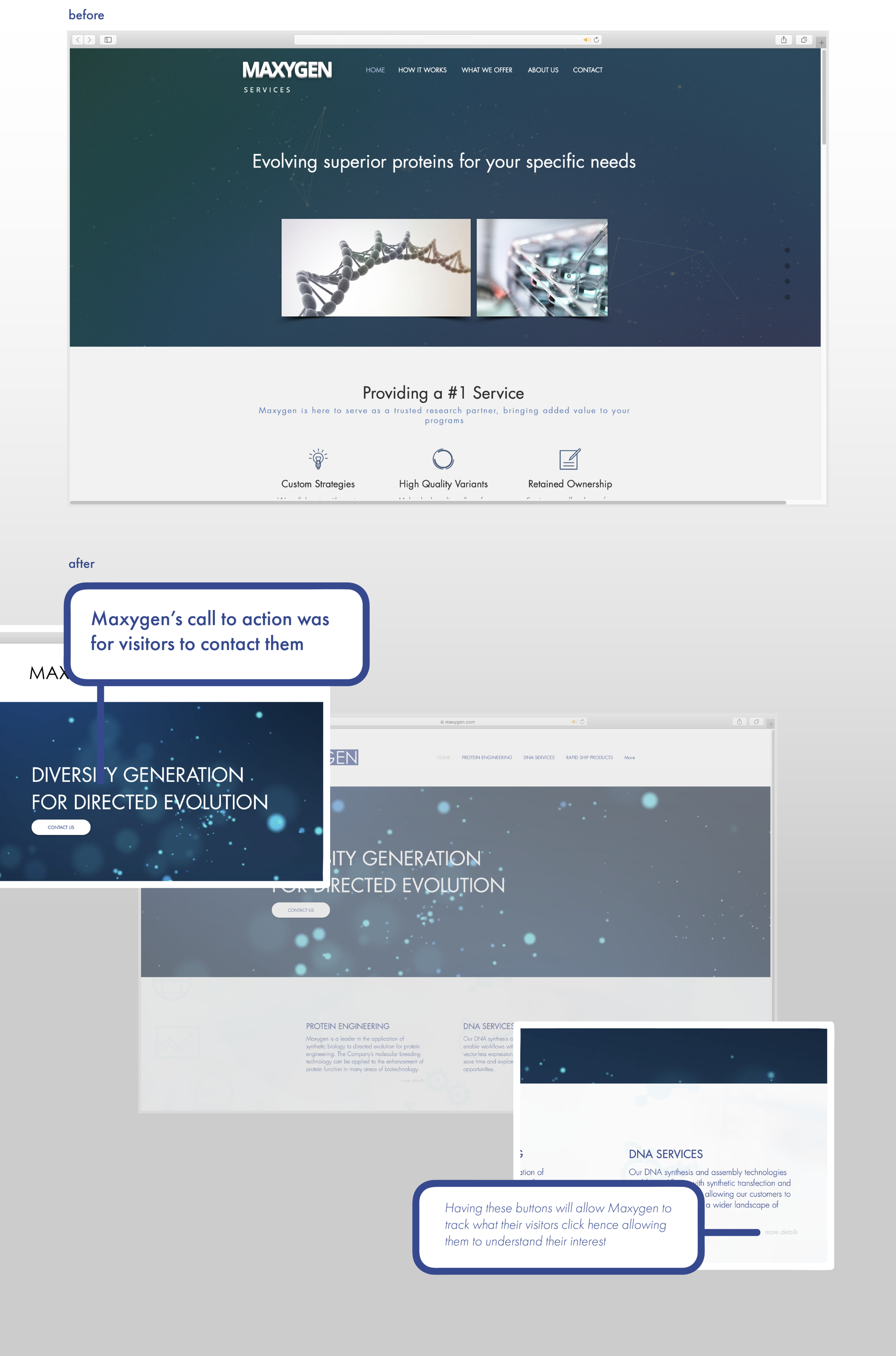 maxygen- website portfolio-02.png