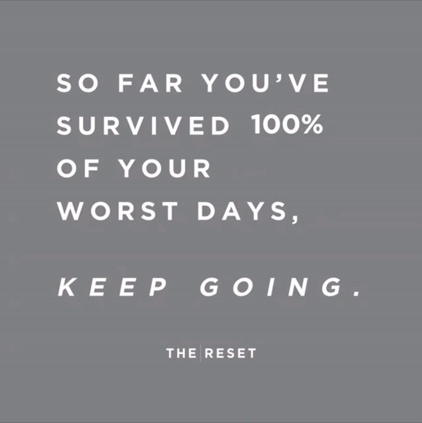 The Reset IG Feed.gif