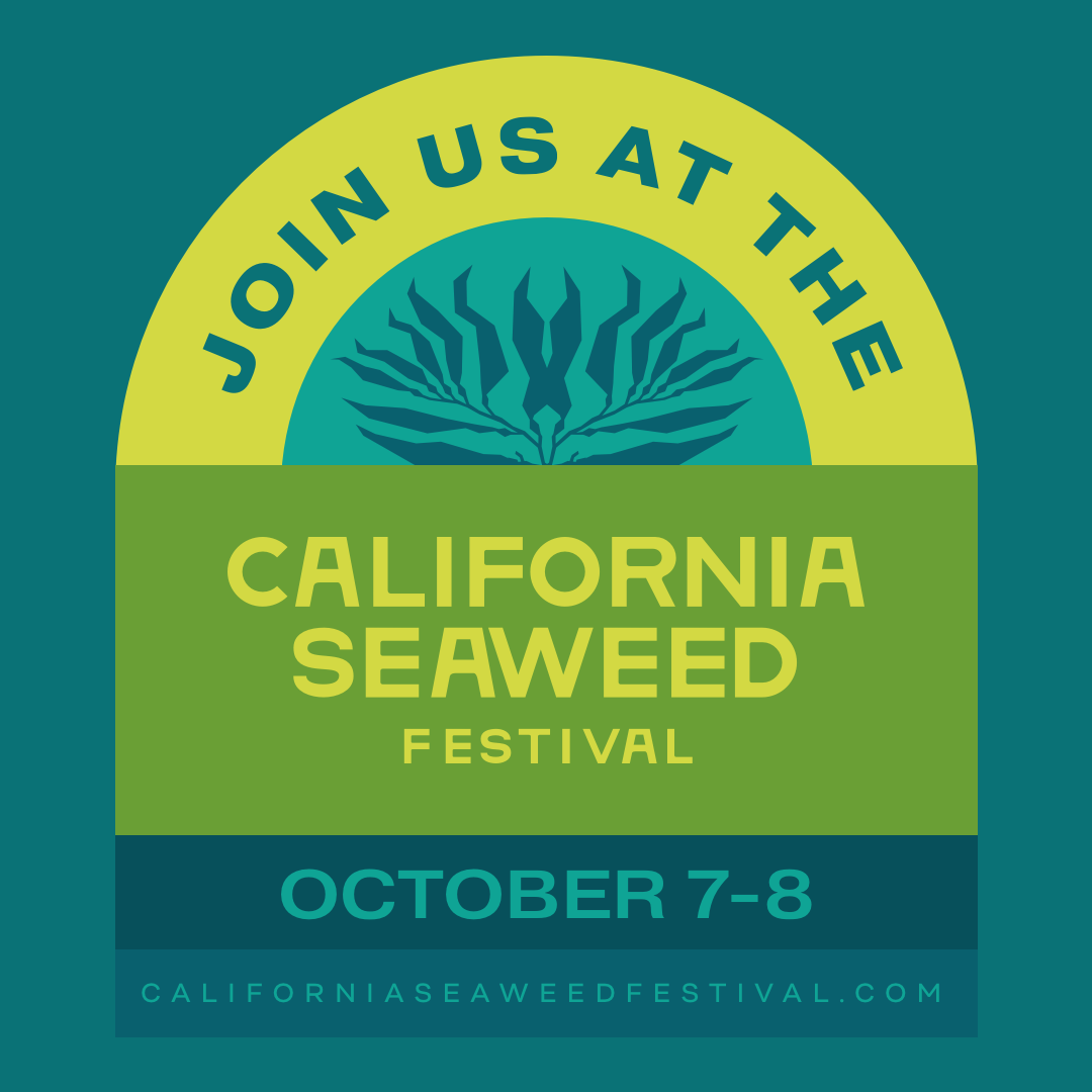   The California Seaweed Festival arose from decades of studying seaweeds, admiring their beauty and learning myriad ways that seaweeds make life better. We want to share the beauty and diversity of seaweeds on our coasts.  