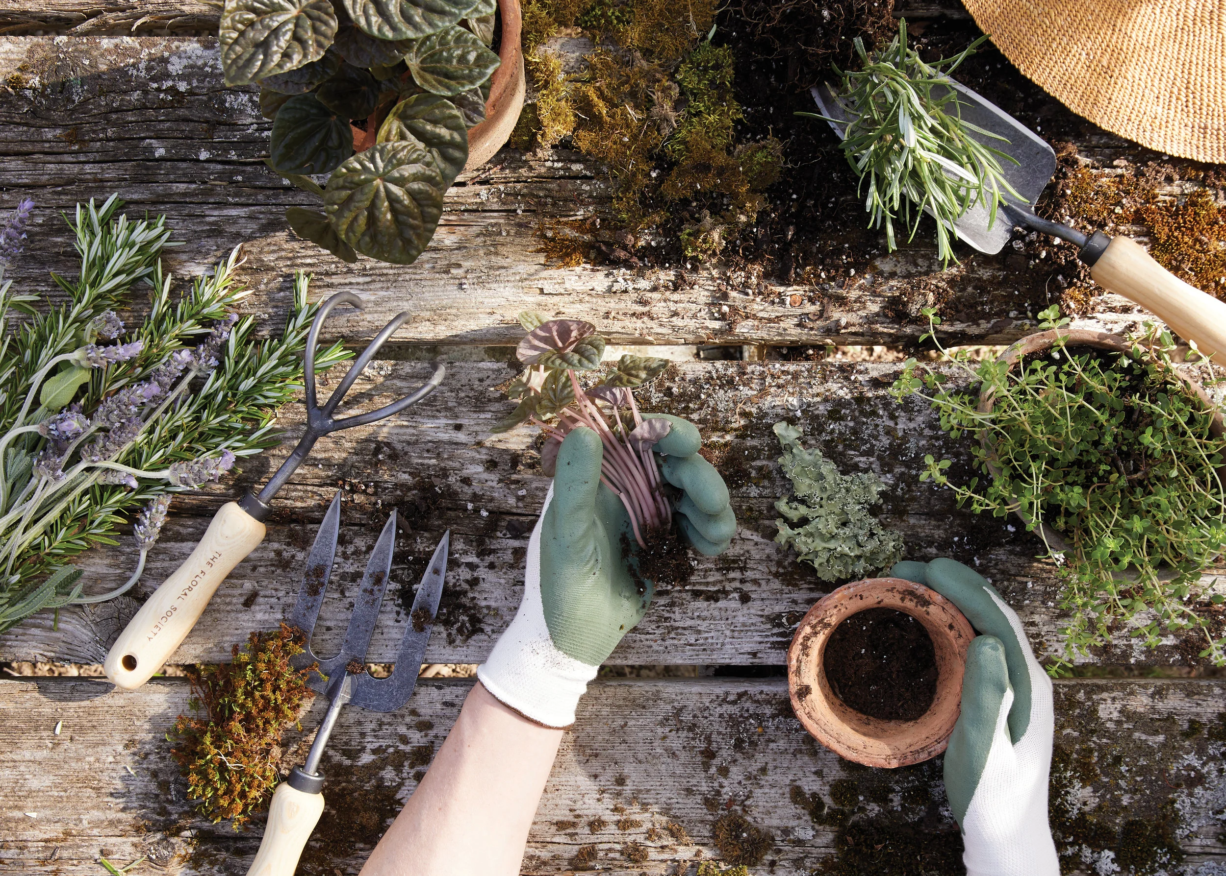 kate sears sierra steifman nyc art director photographer lifestyle editorial the floral society garden tools gloves potted plants picnic table design seasonal spring planting