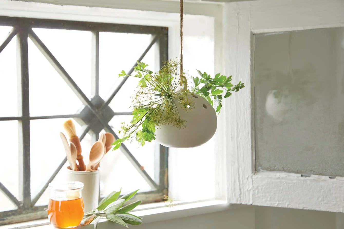 sierra steifman nyc art director photographer lifestyle editorial the floral society ceramic hanging flower frog design herbs honey spoons window kitchen pantry seasonal spring