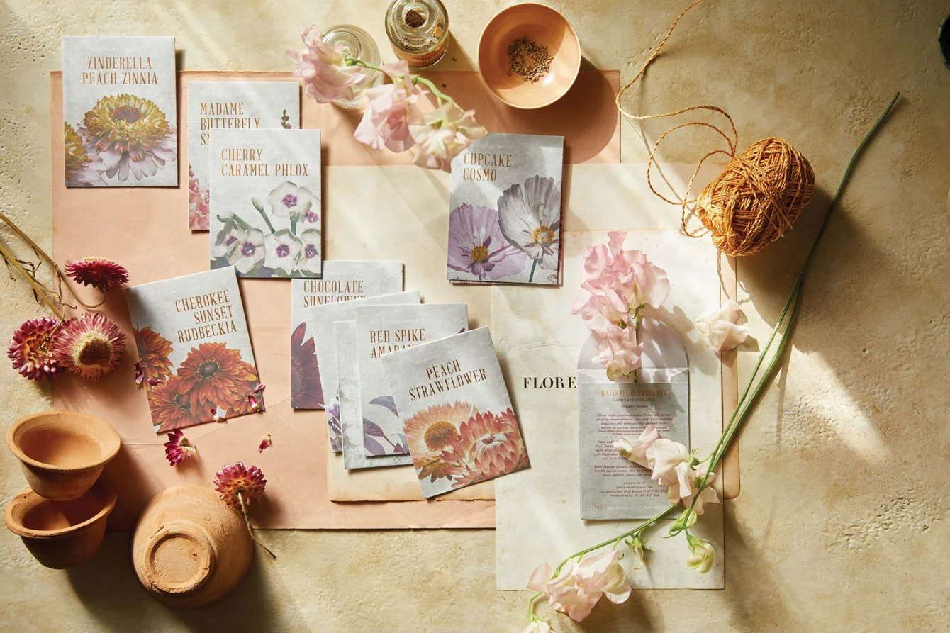 ayesha patel sierra steifman nyc art director photographer lifestyle editorial graphic designer the floral society individual seeds packaging design flowers planting gardening spring home mini pots